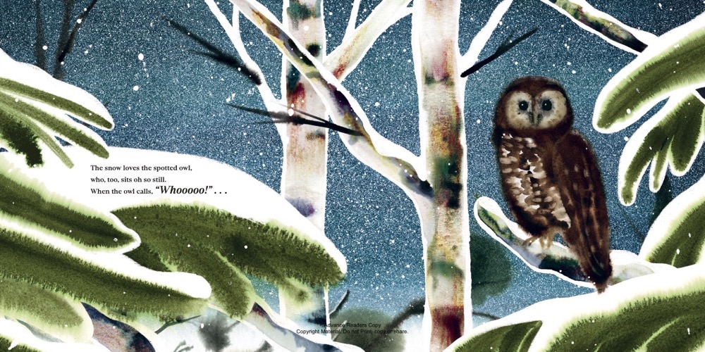 additional book photo