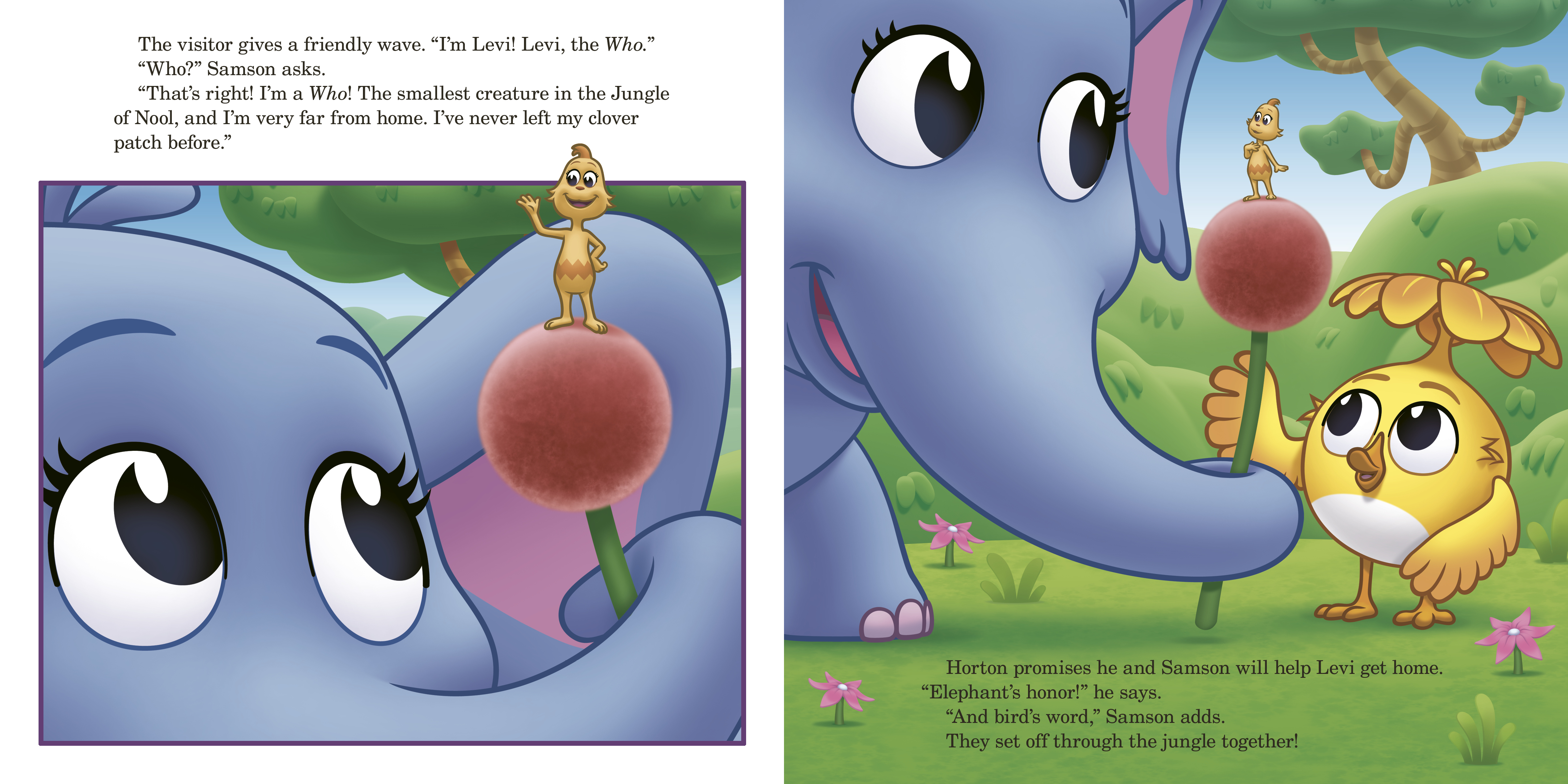 additional book photo