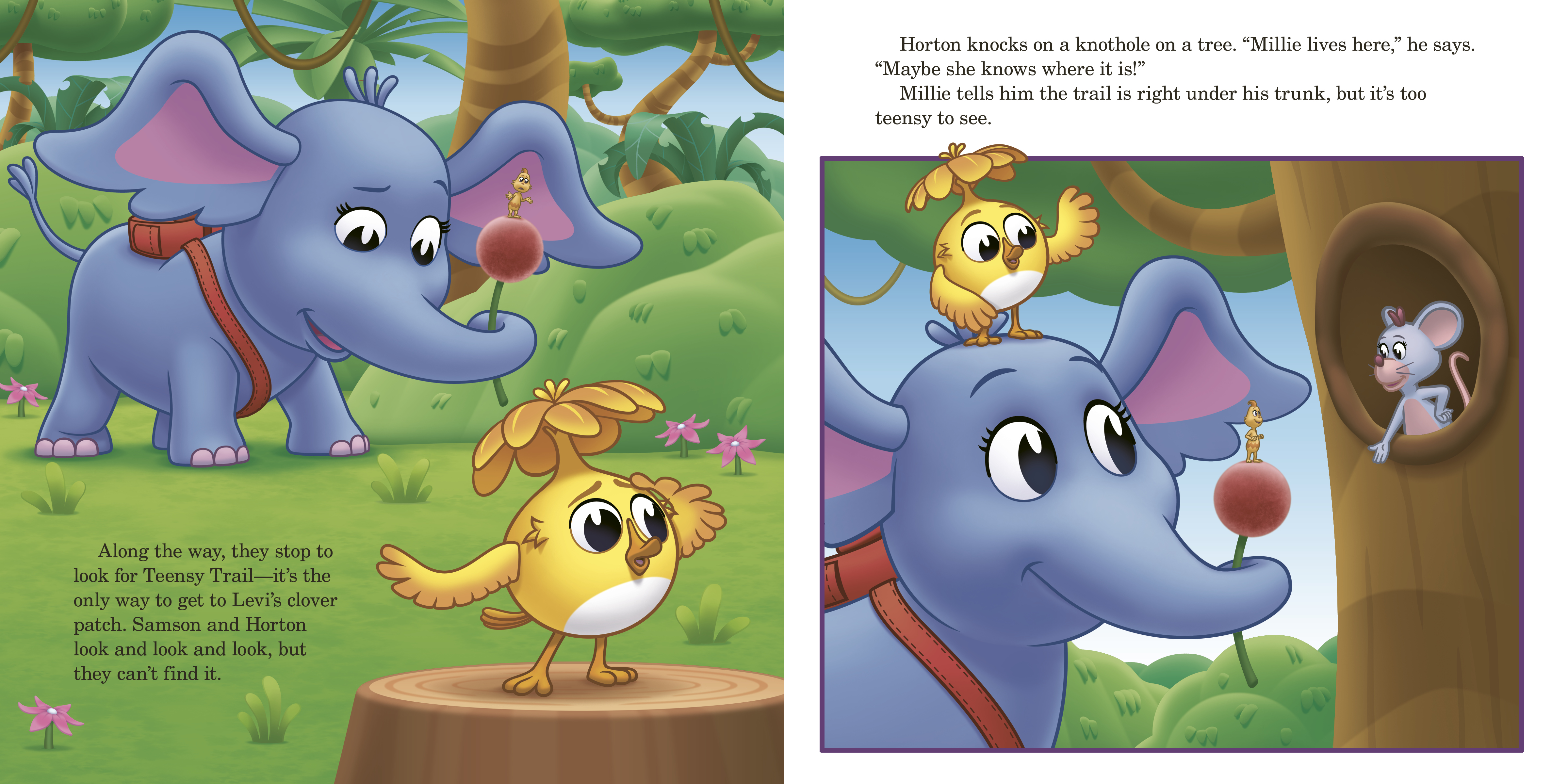 additional book photo