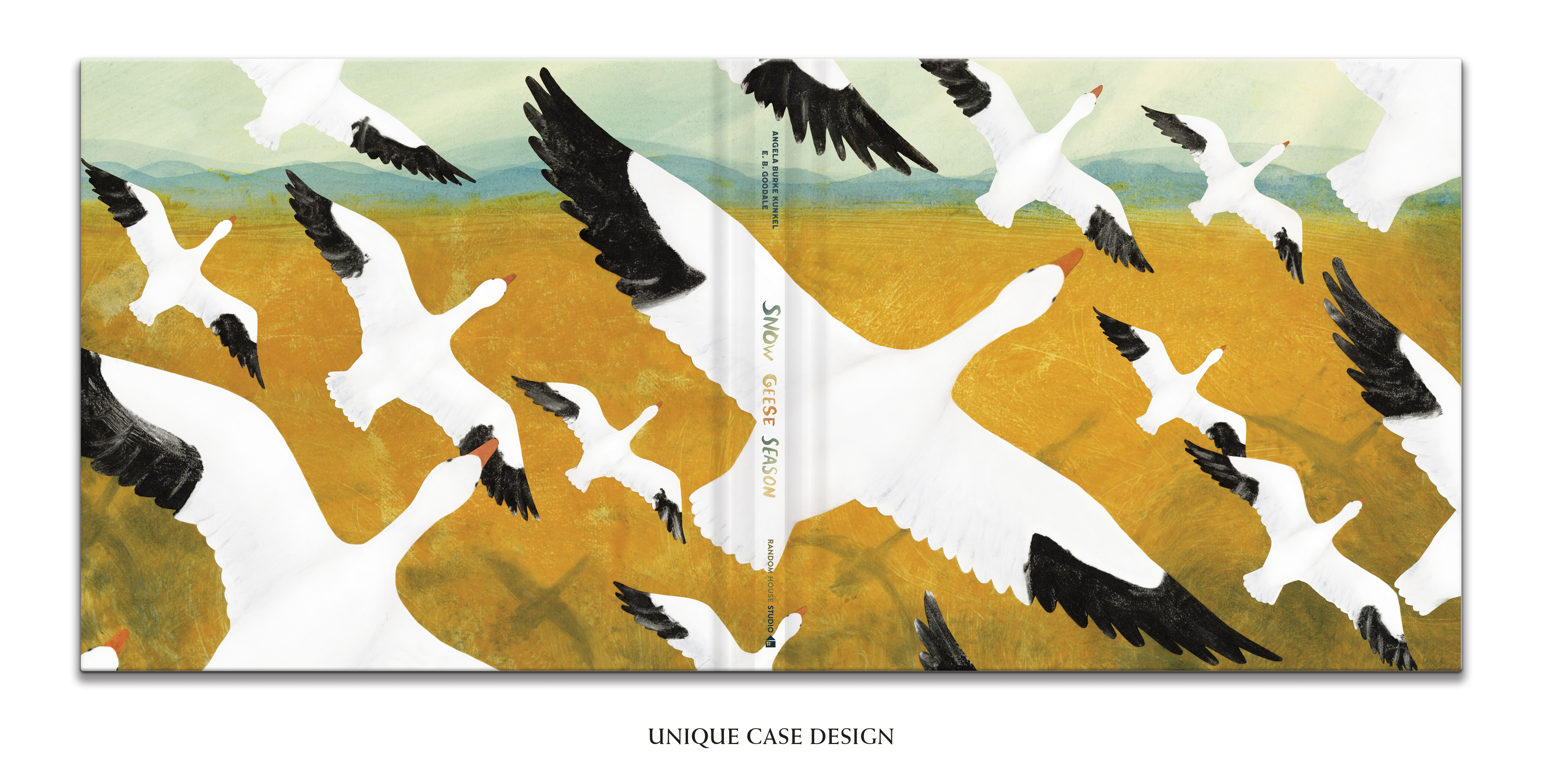 additional book photo