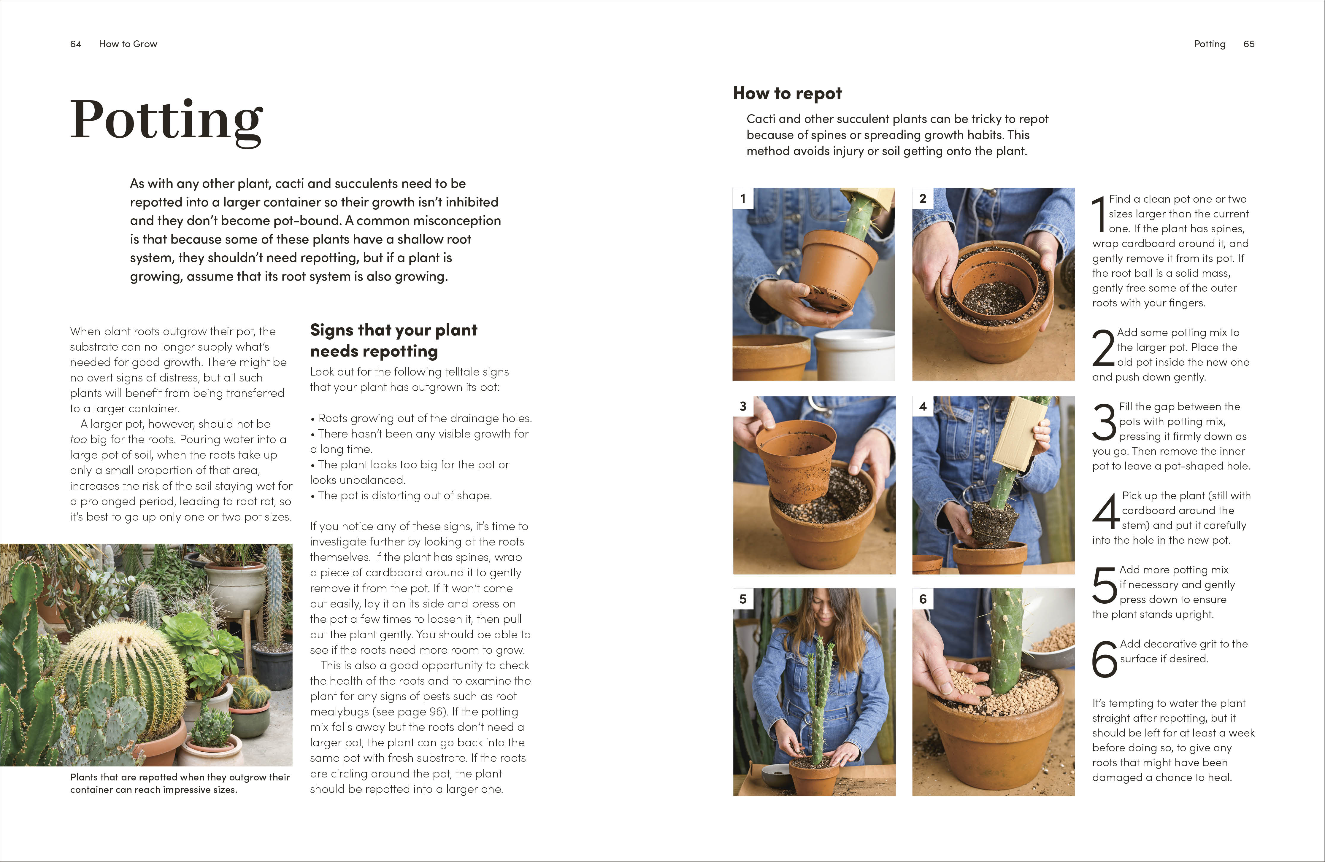 additional book photo