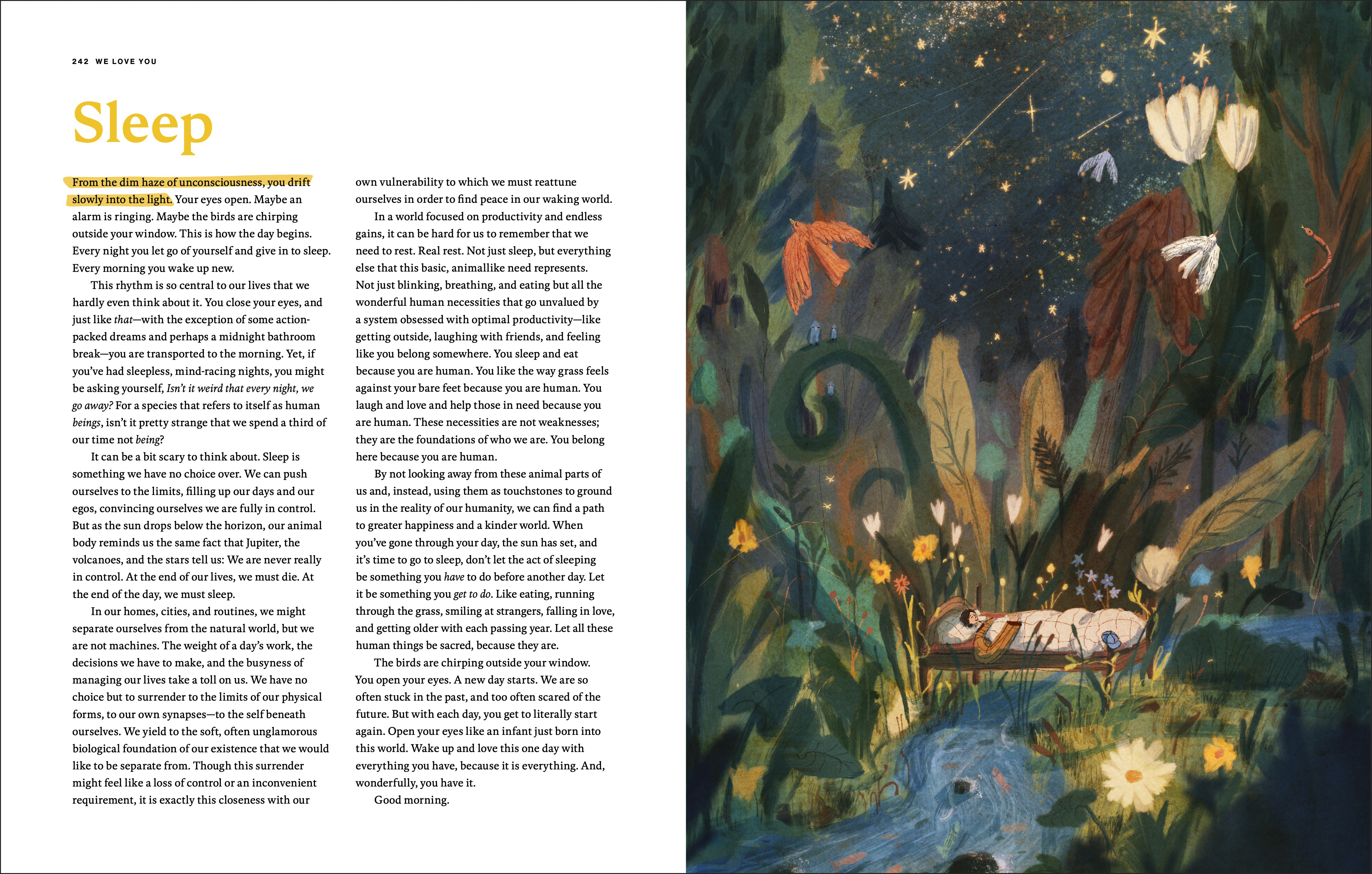 additional book photo