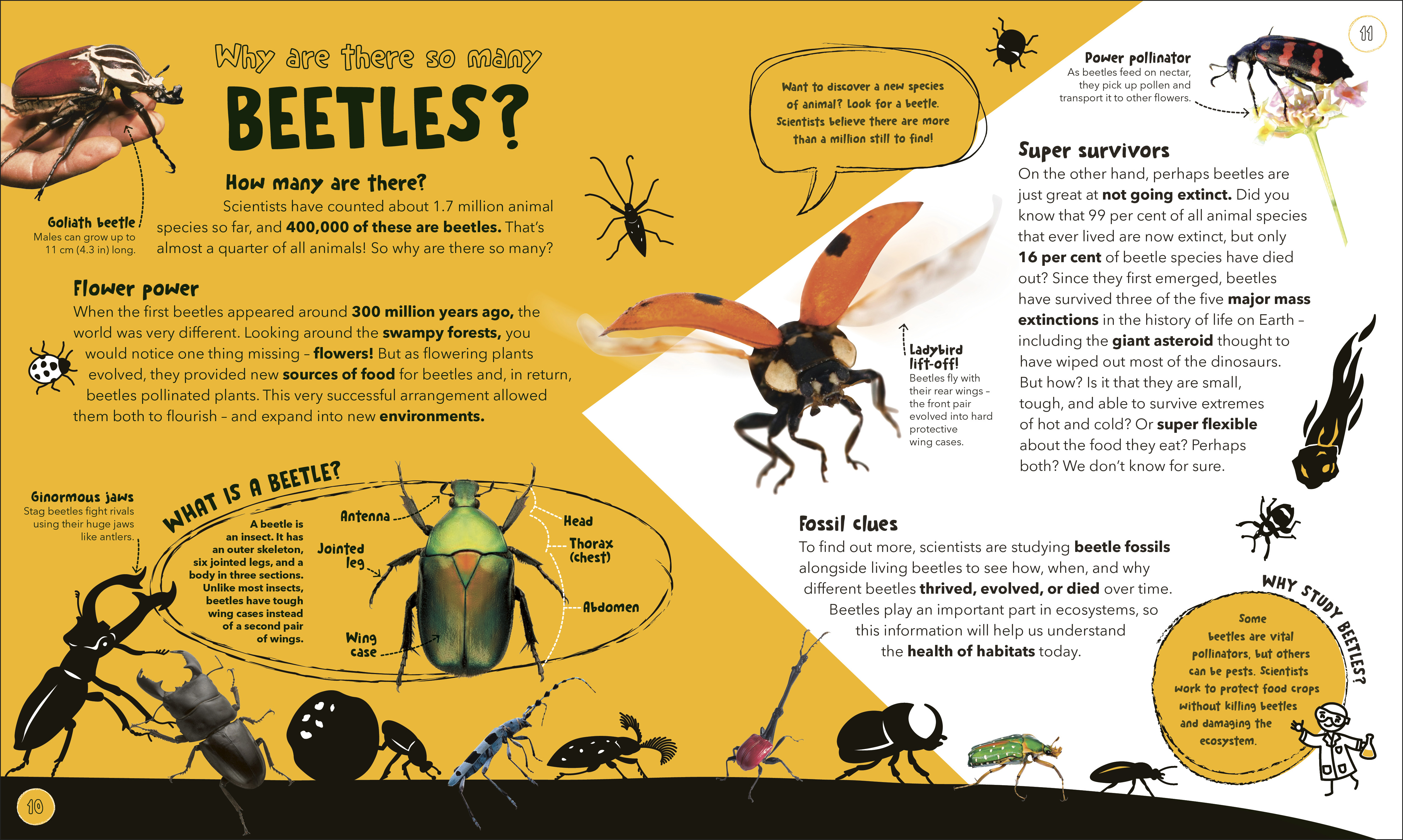 additional book photo