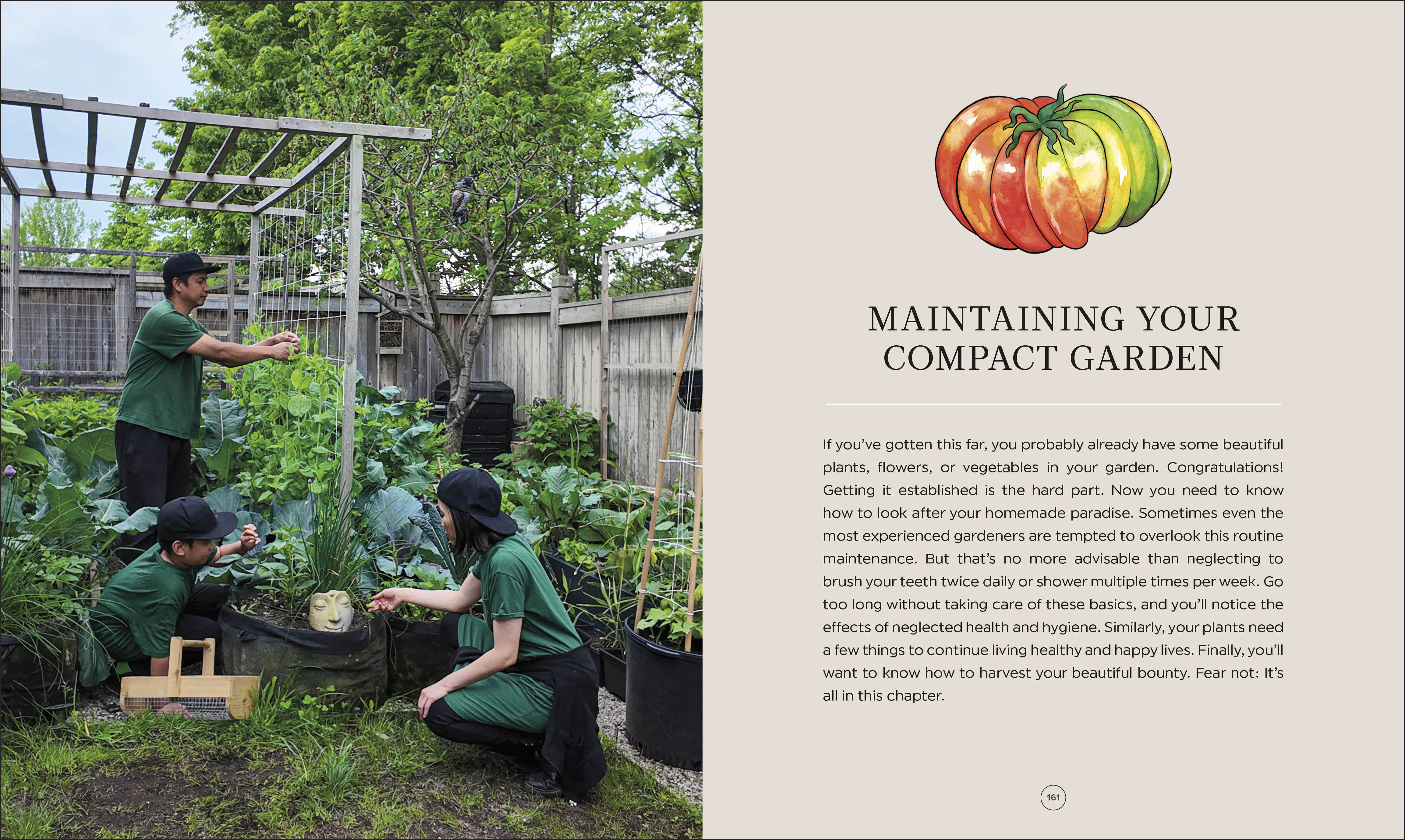 additional book photo