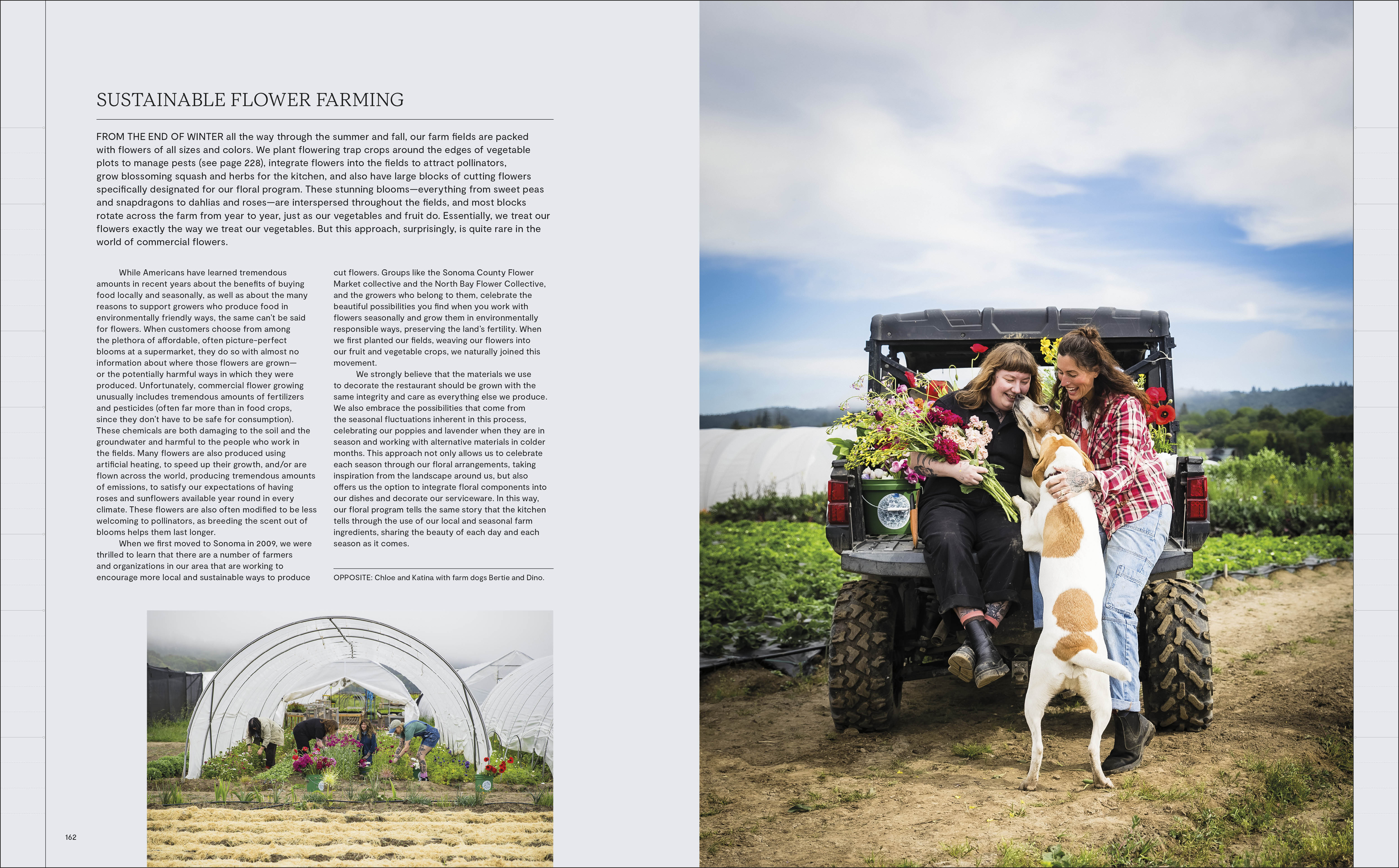 additional book photo
