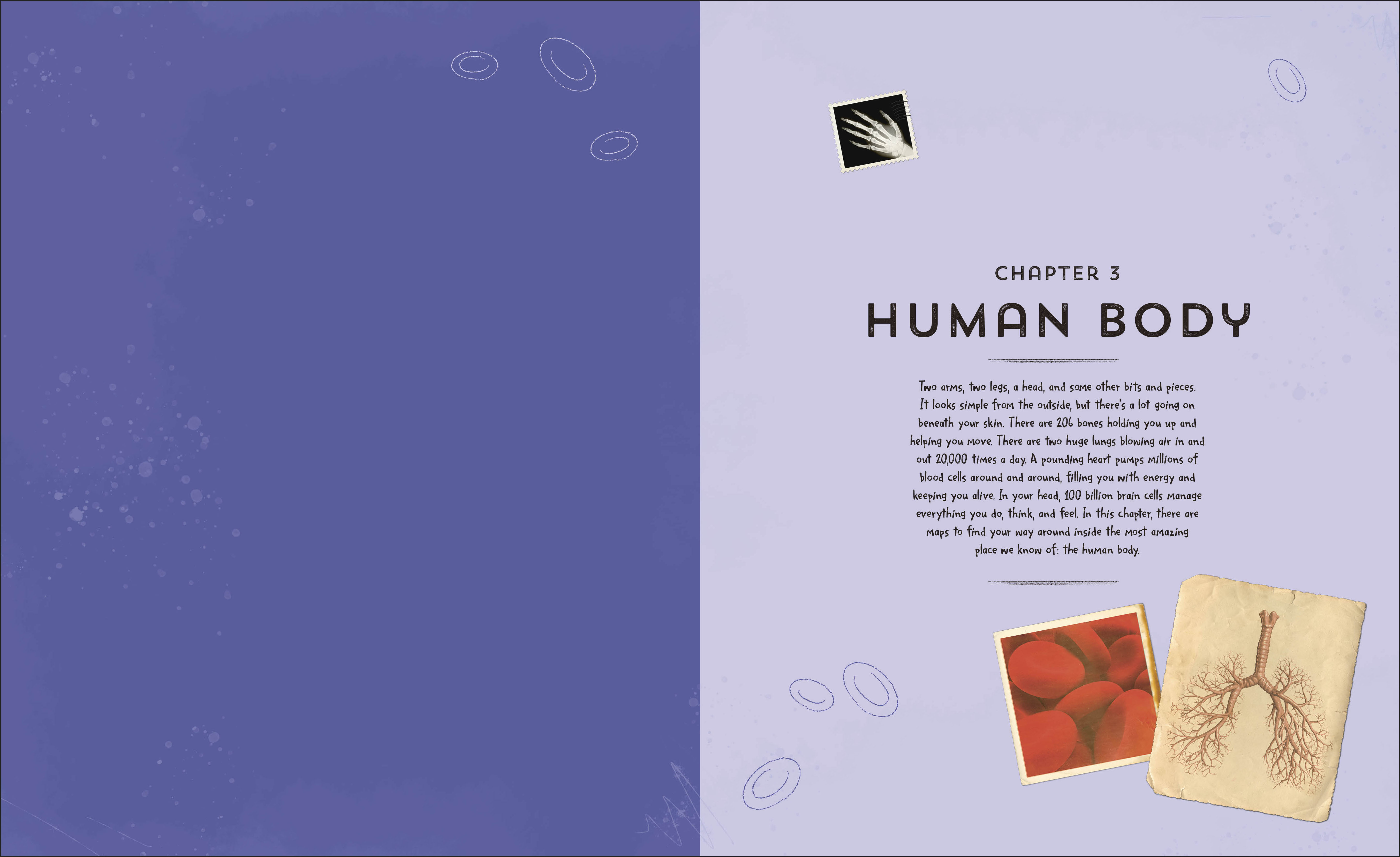 additional book photo