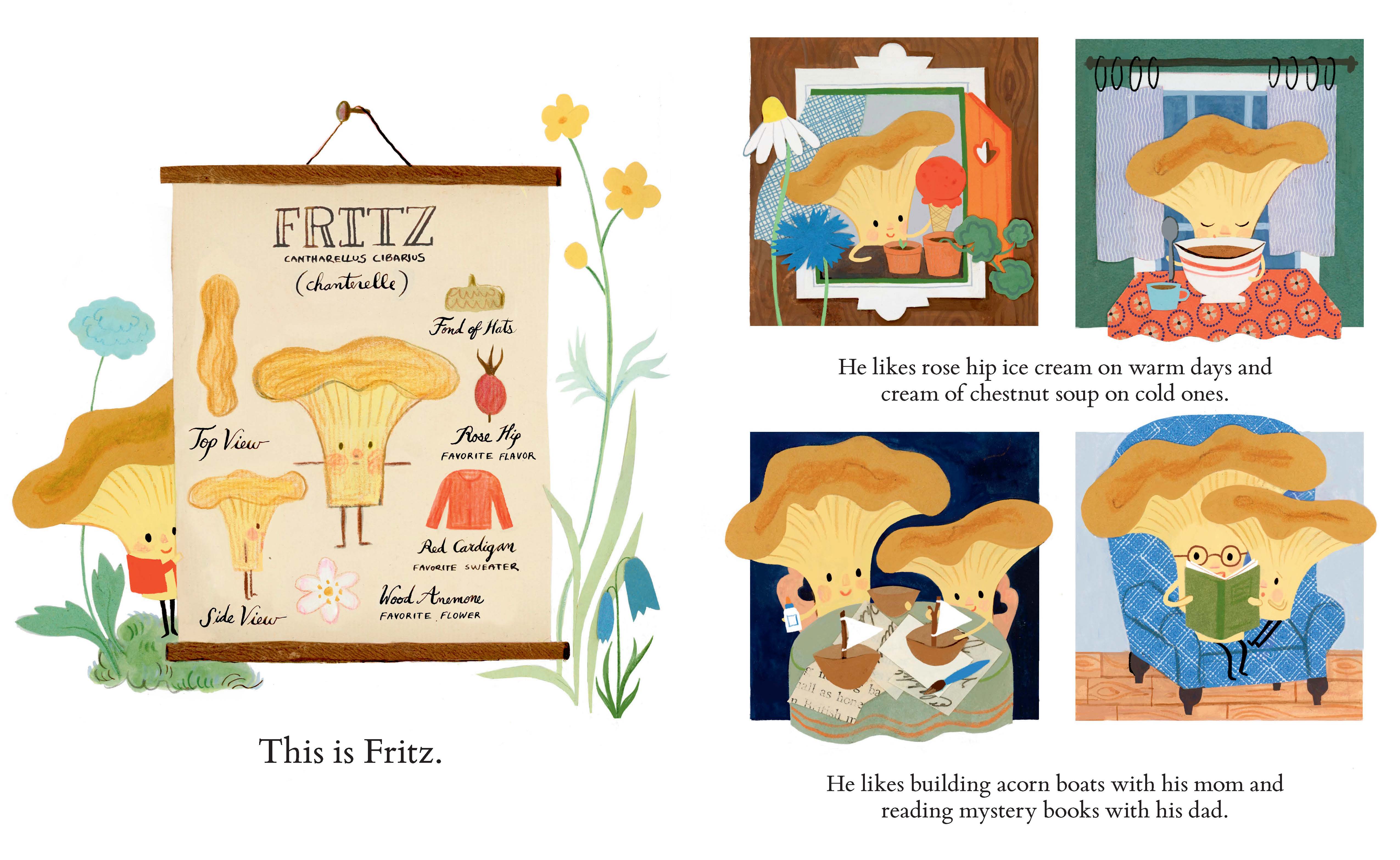 additional book photo