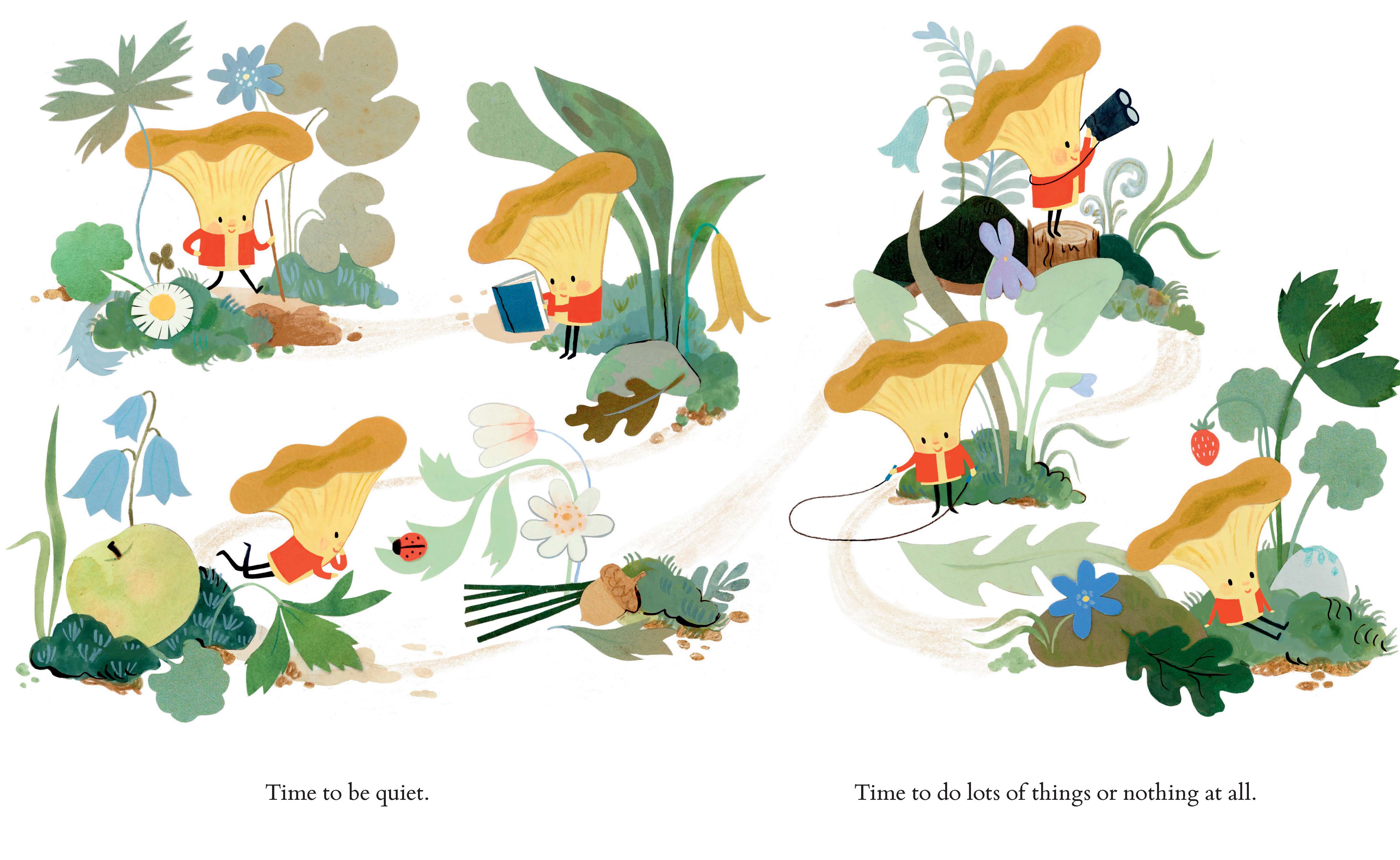 additional book photo