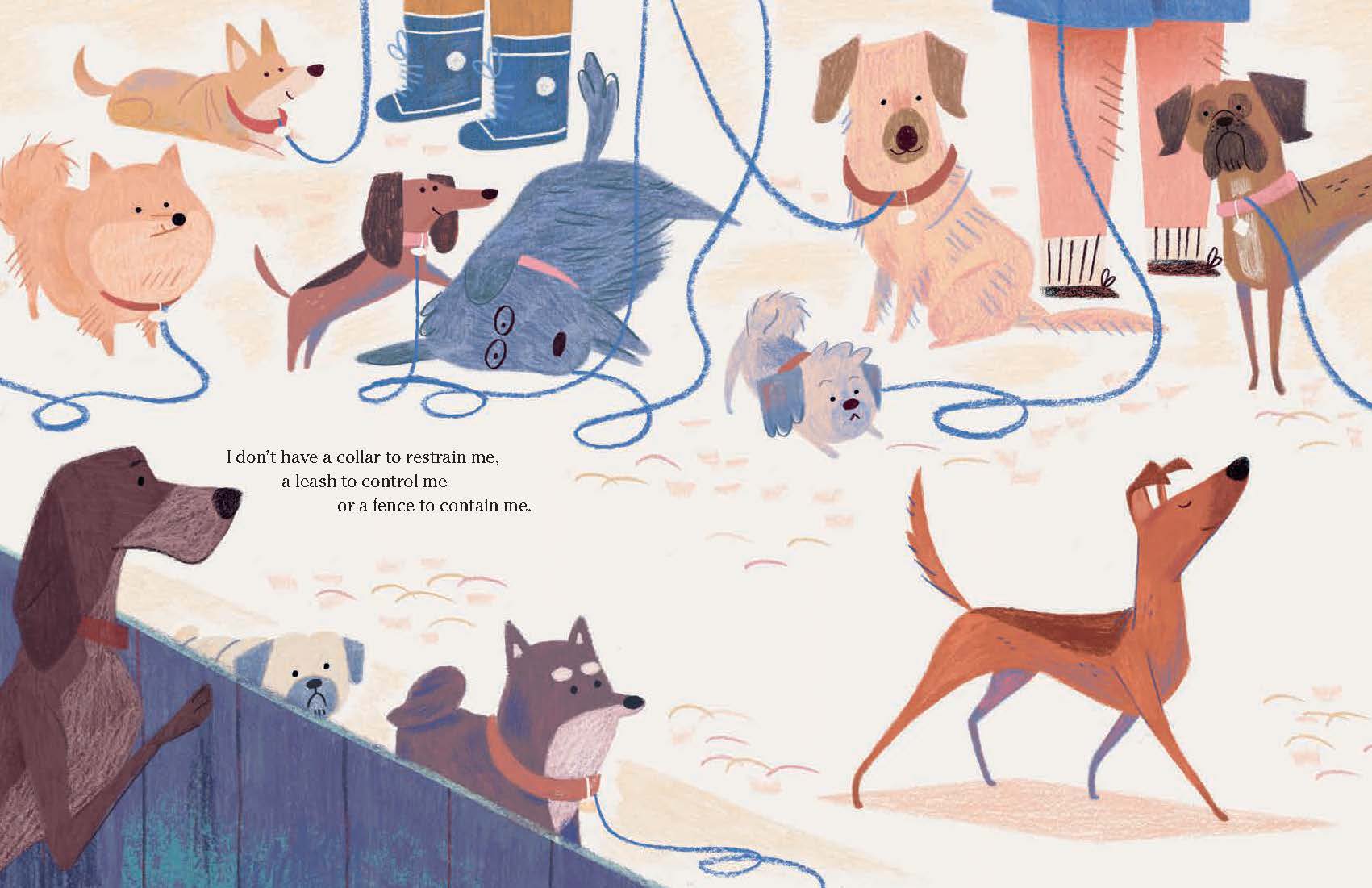 additional book photo