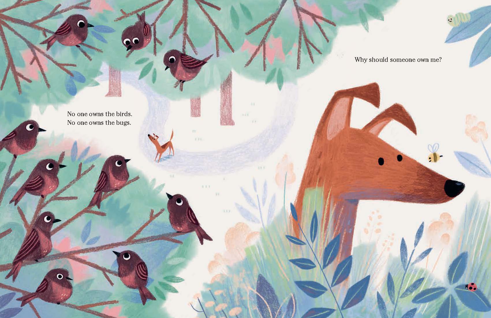 additional book photo