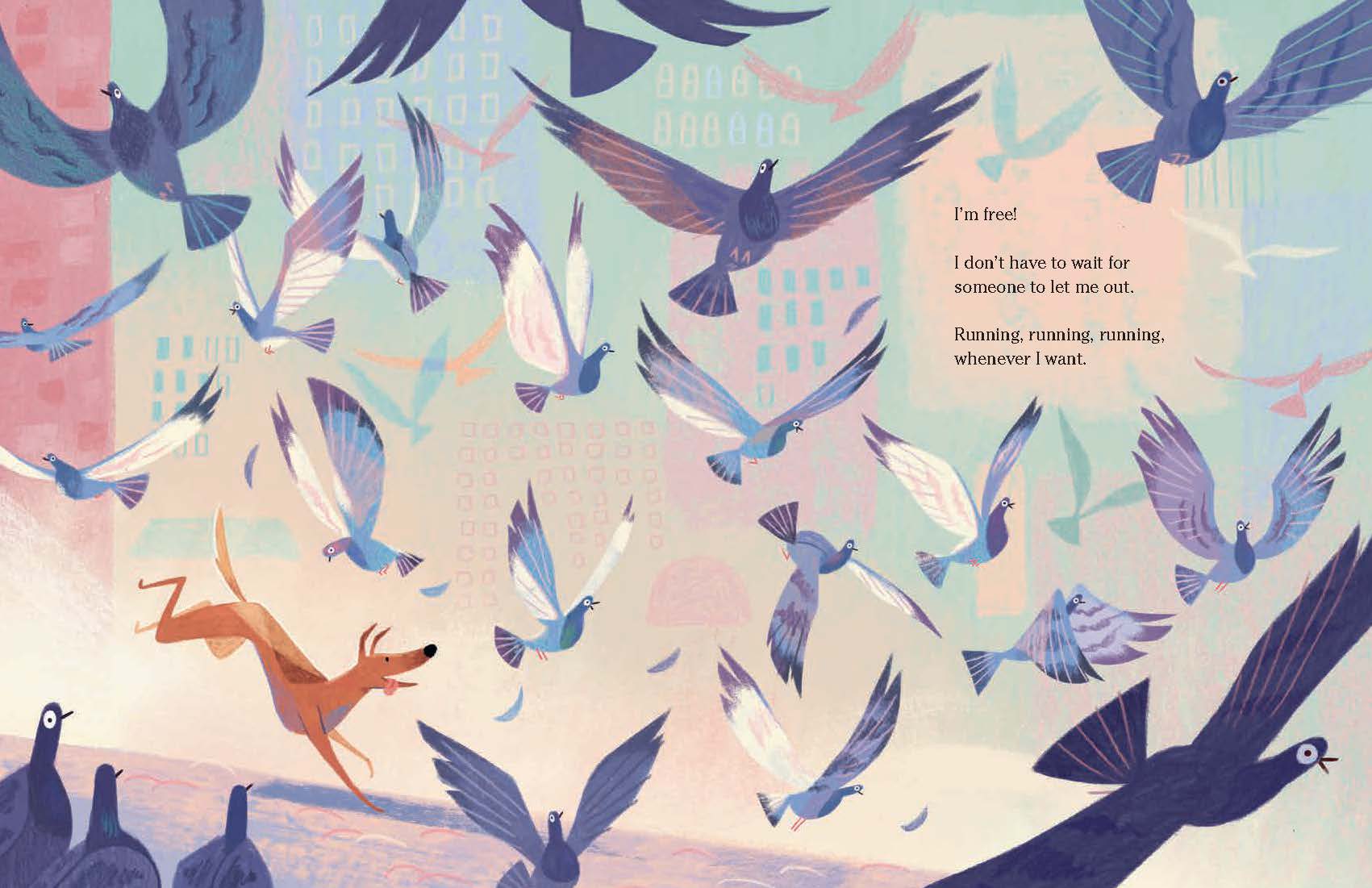 additional book photo