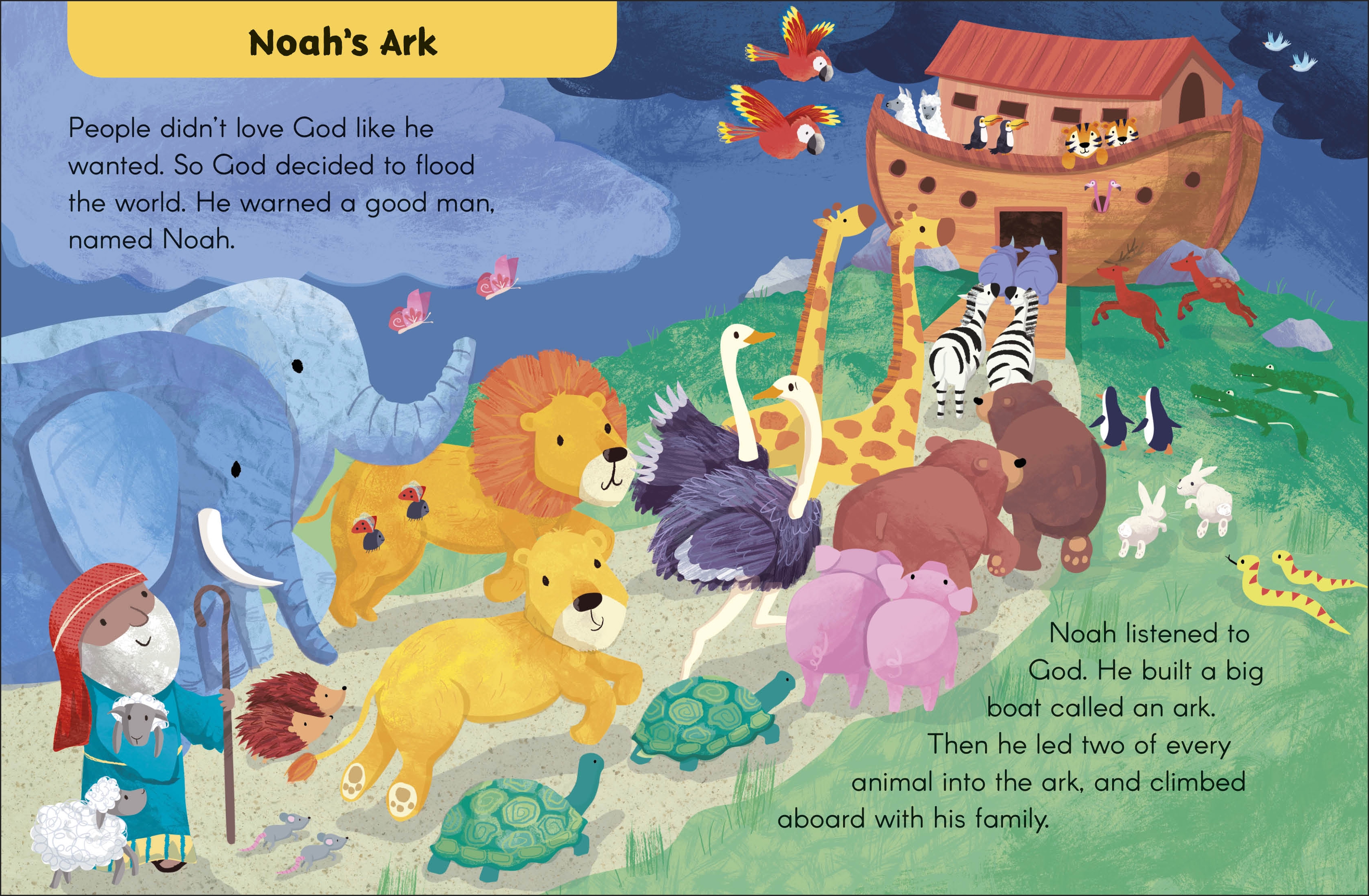 additional book photo