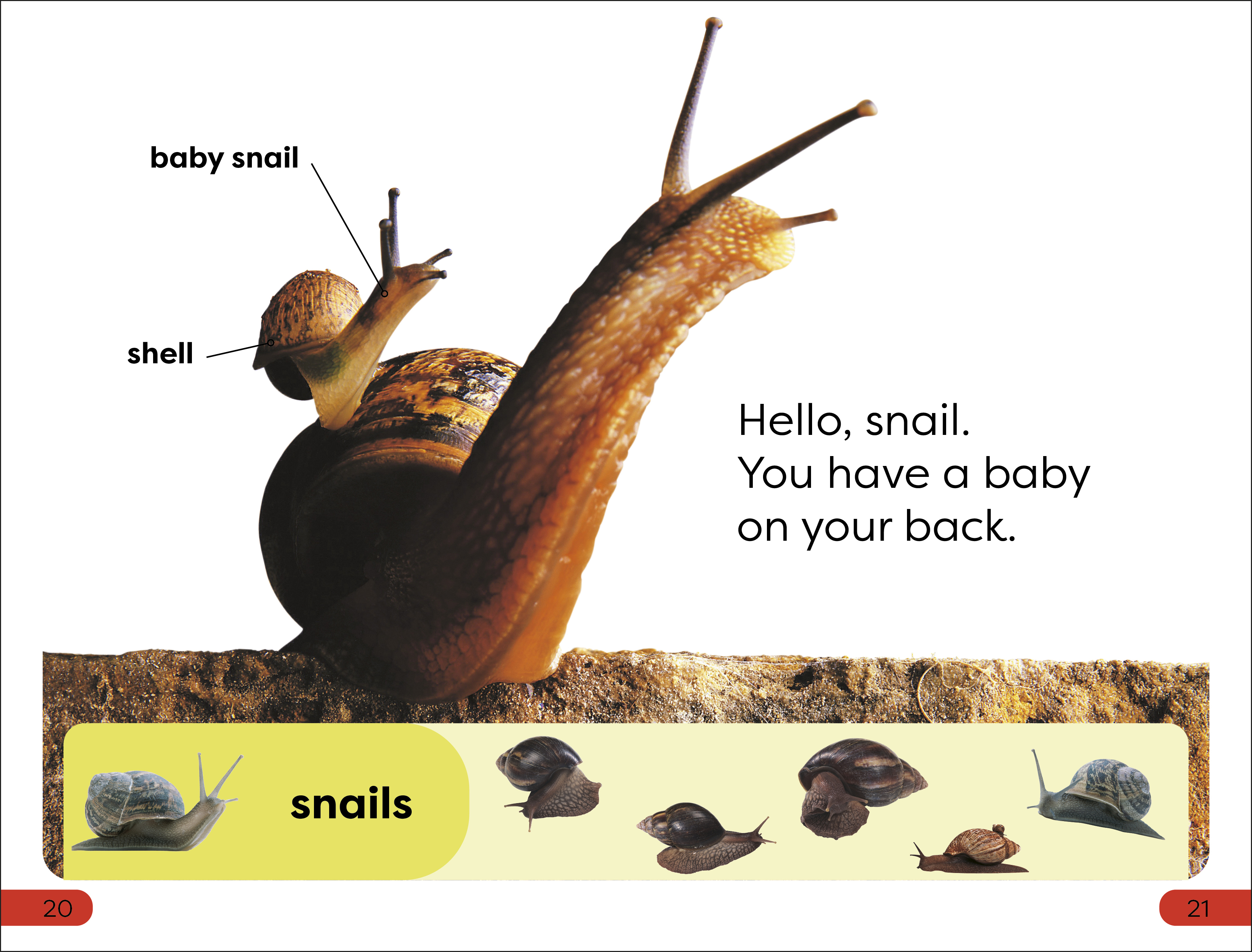 additional book photo