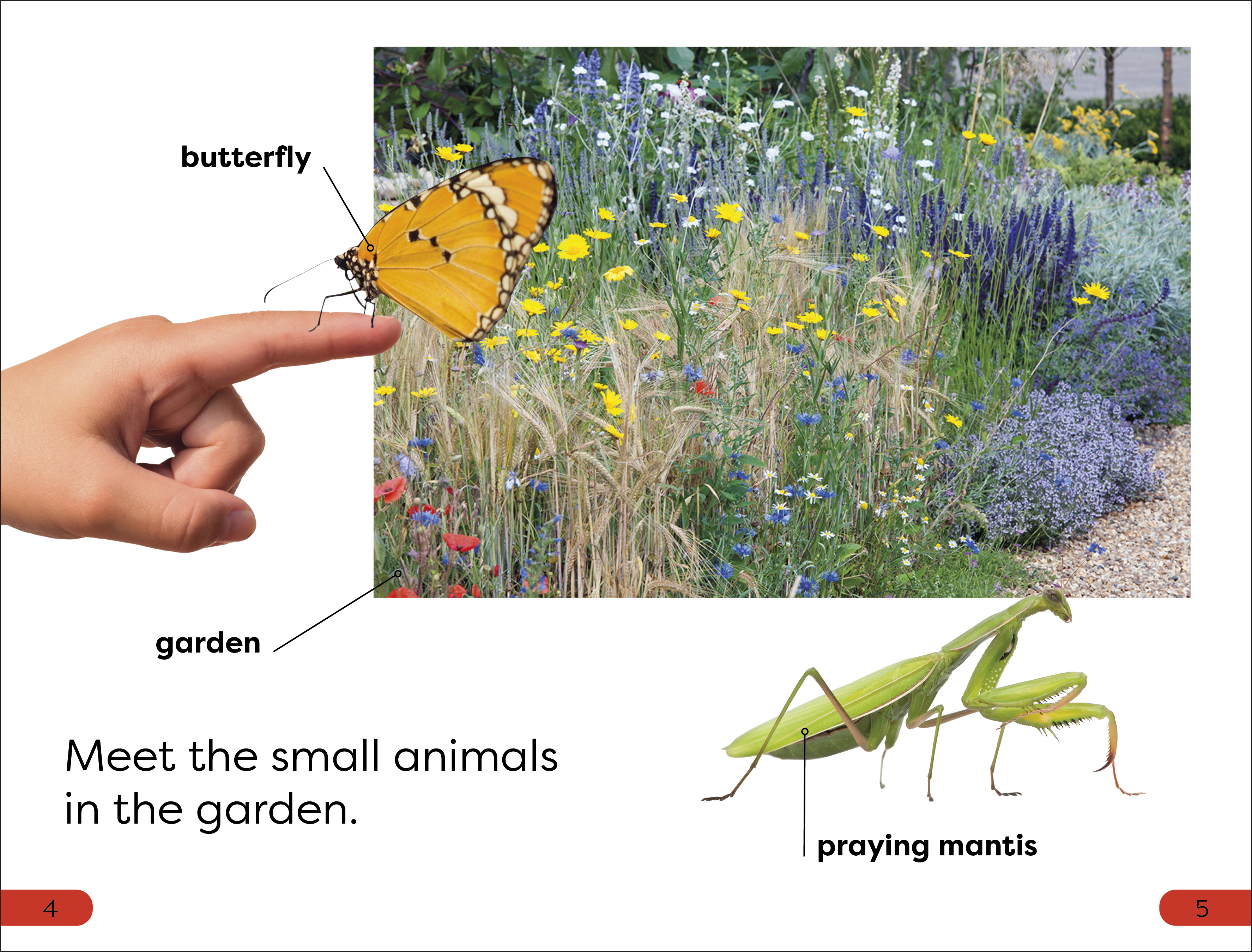 additional book photo