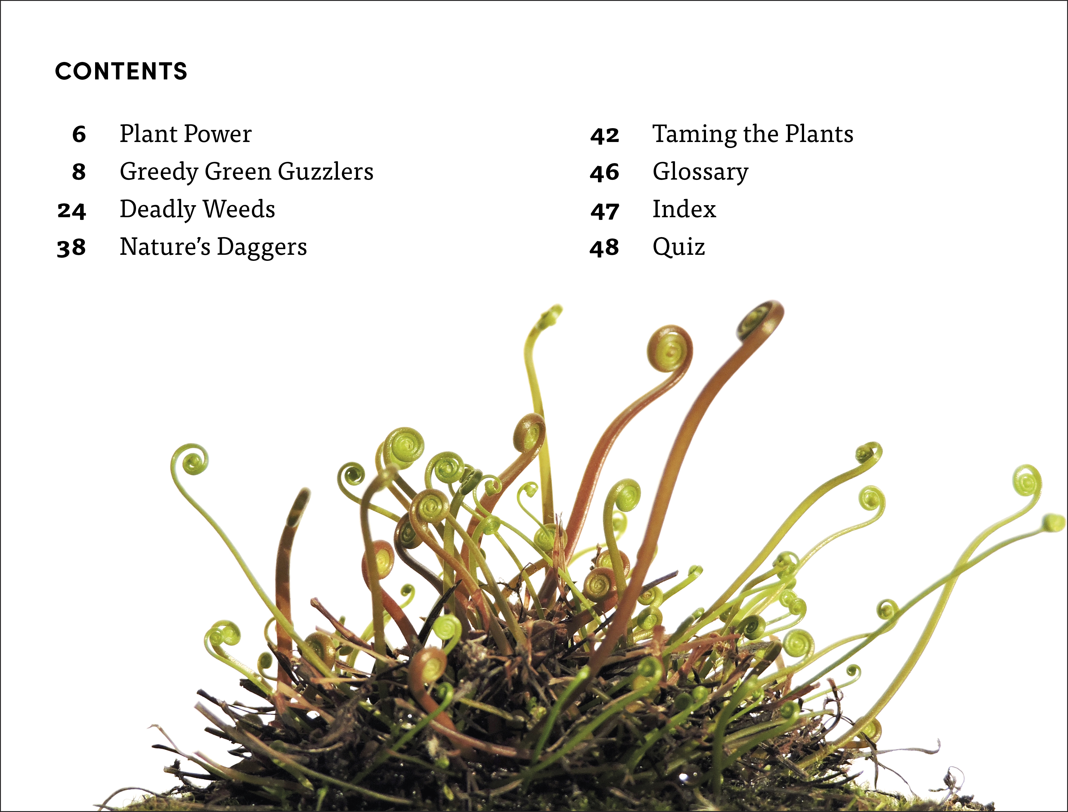 additional book photo