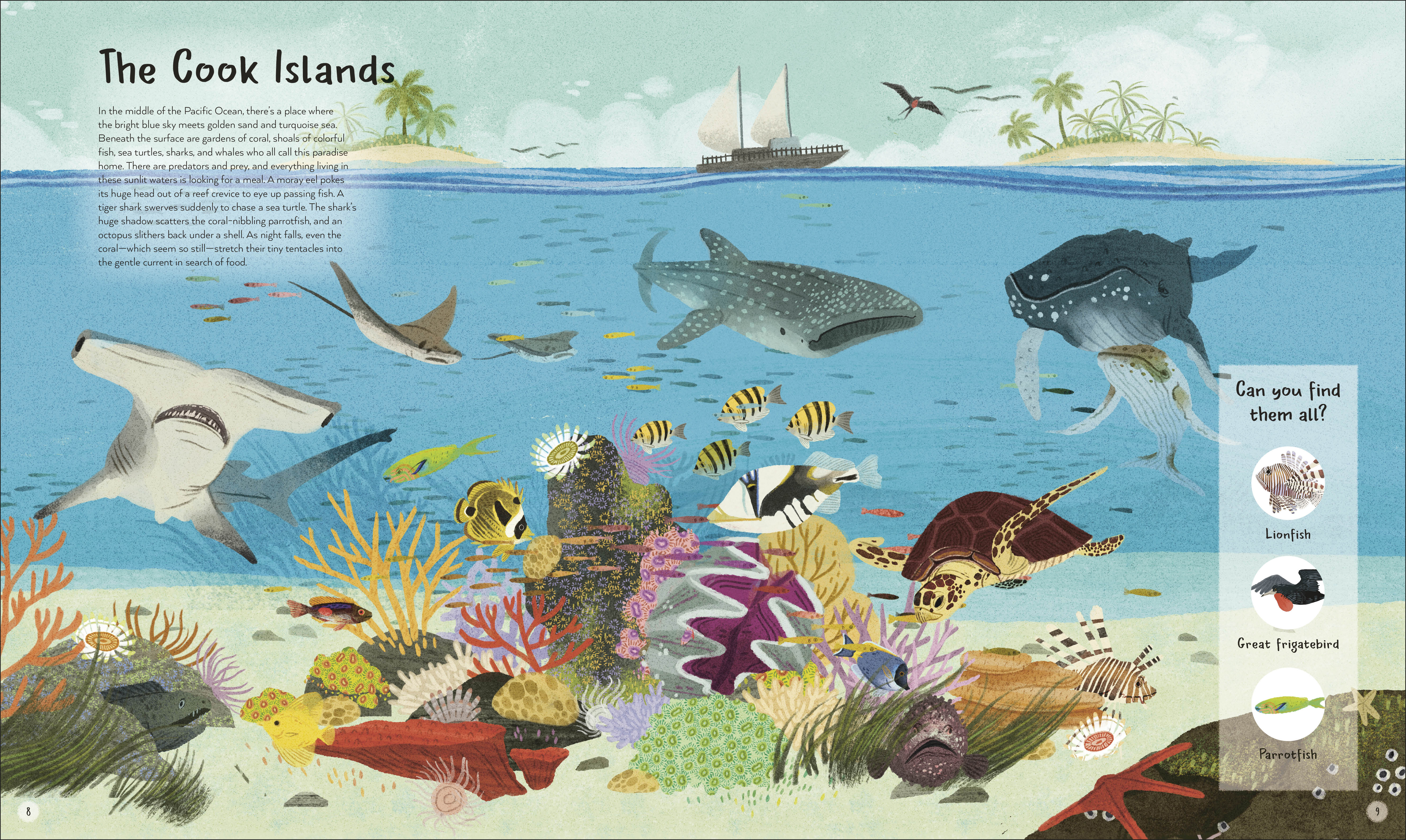 additional book photo