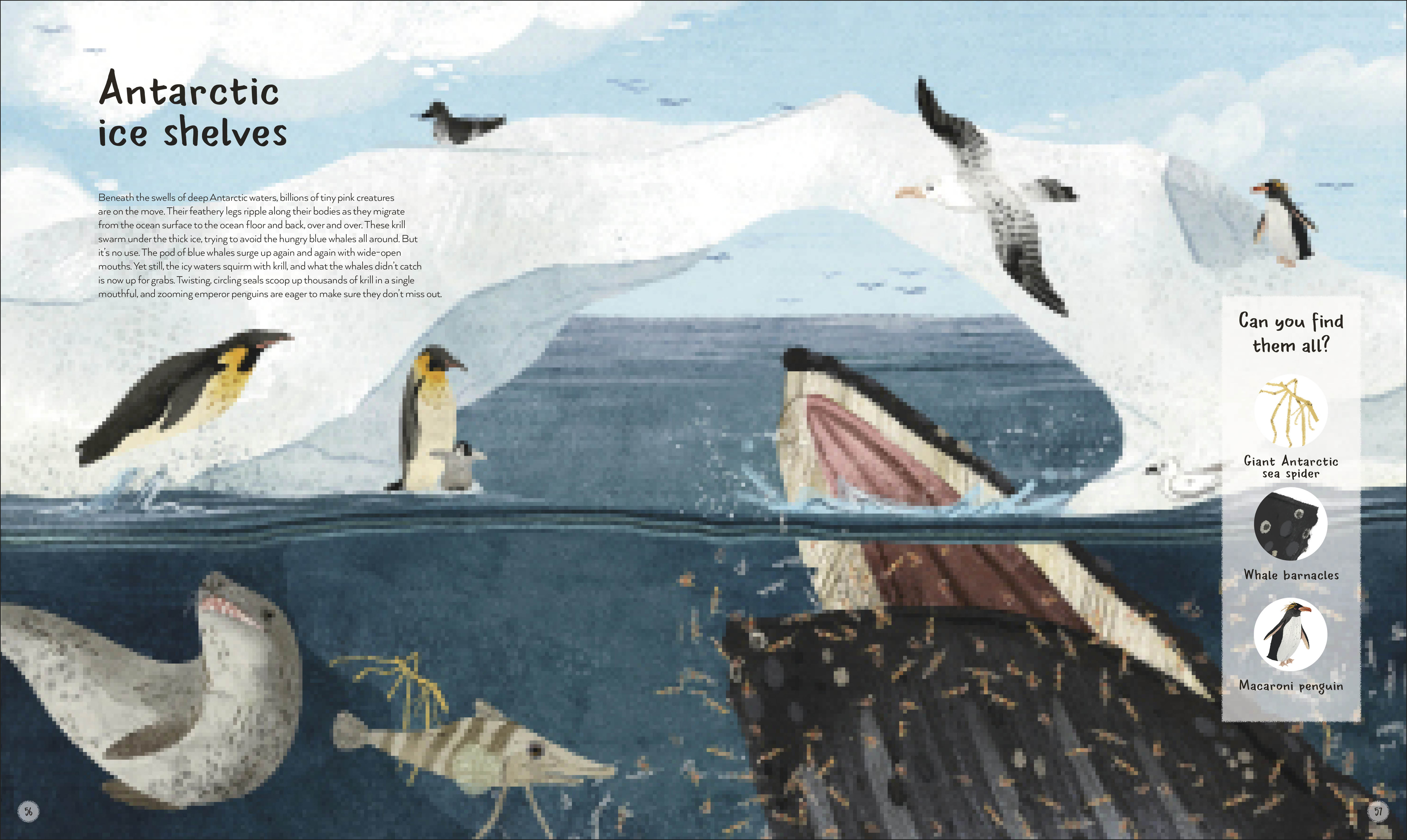 additional book photo