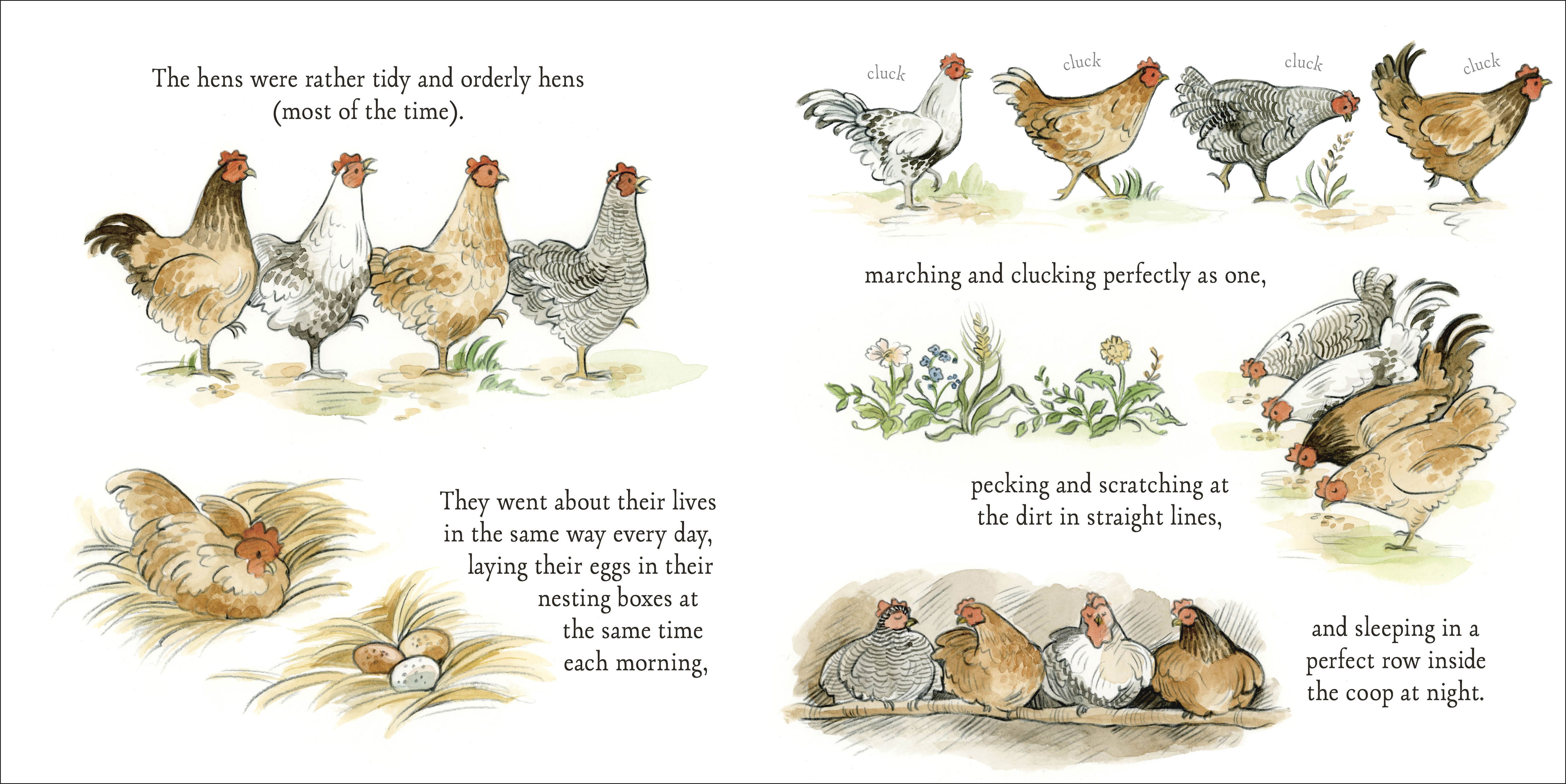 additional book photo
