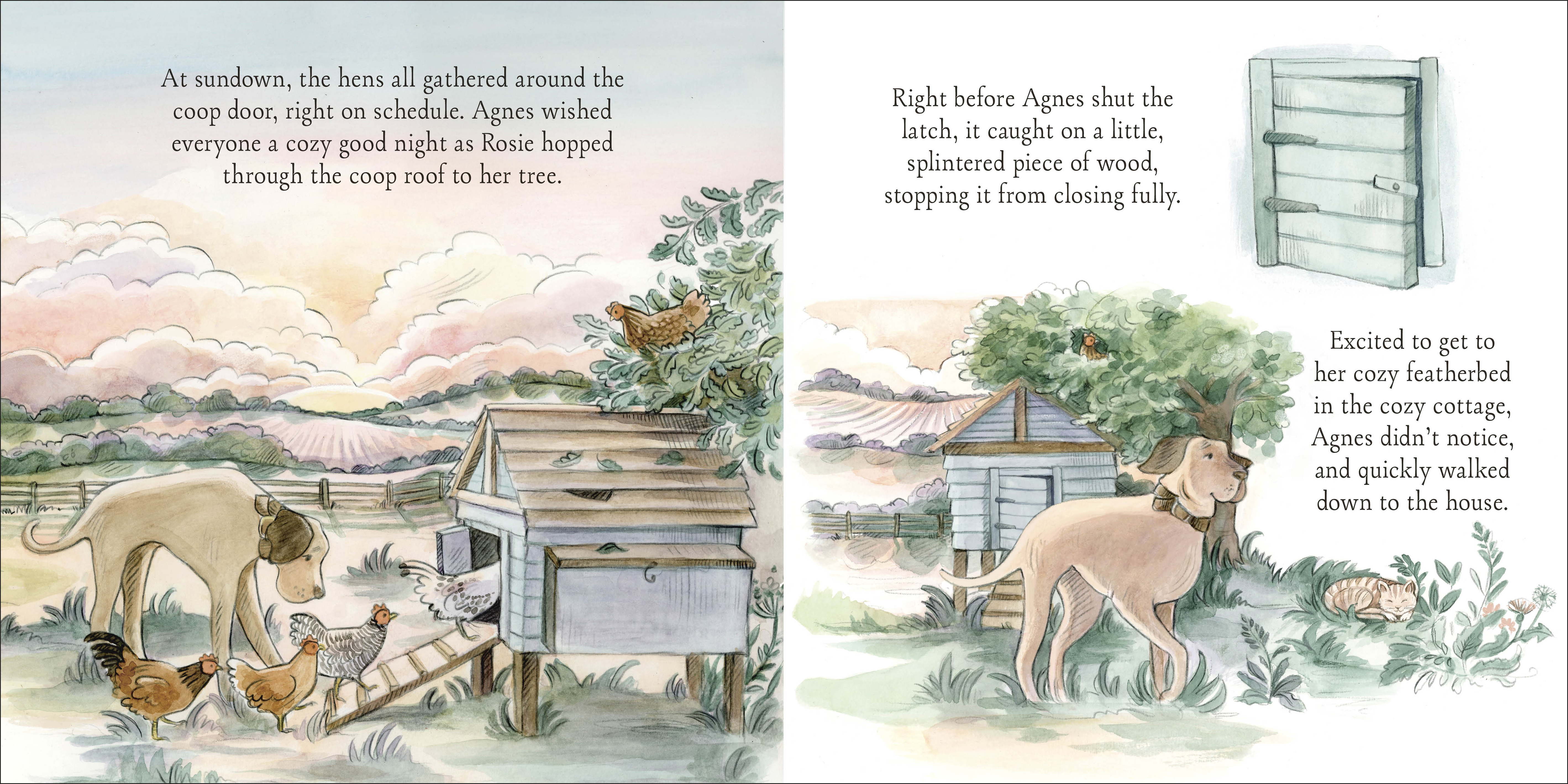 additional book photo