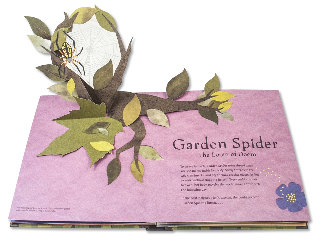 additional book photo