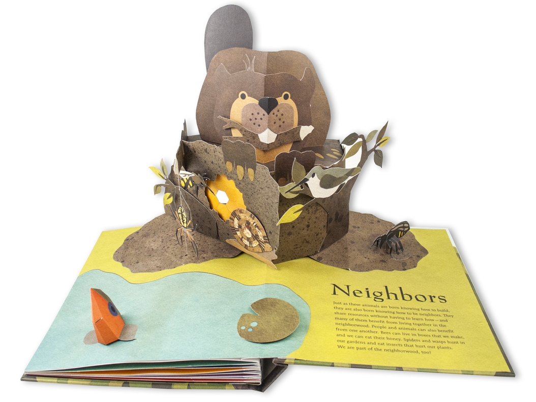 additional book photo