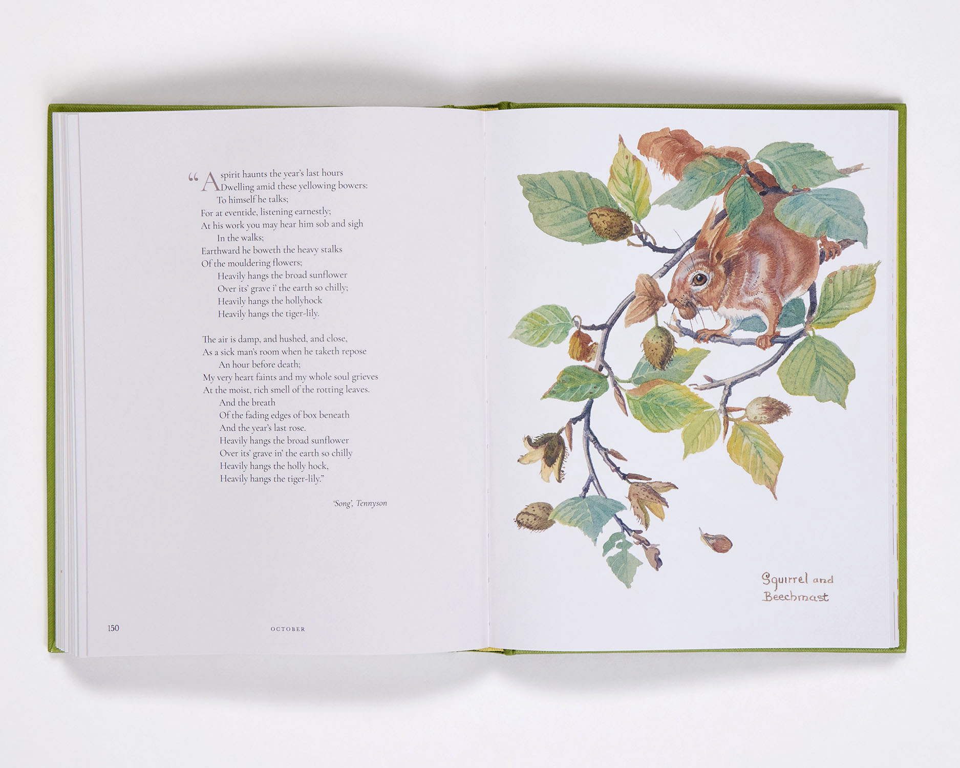 additional book photo
