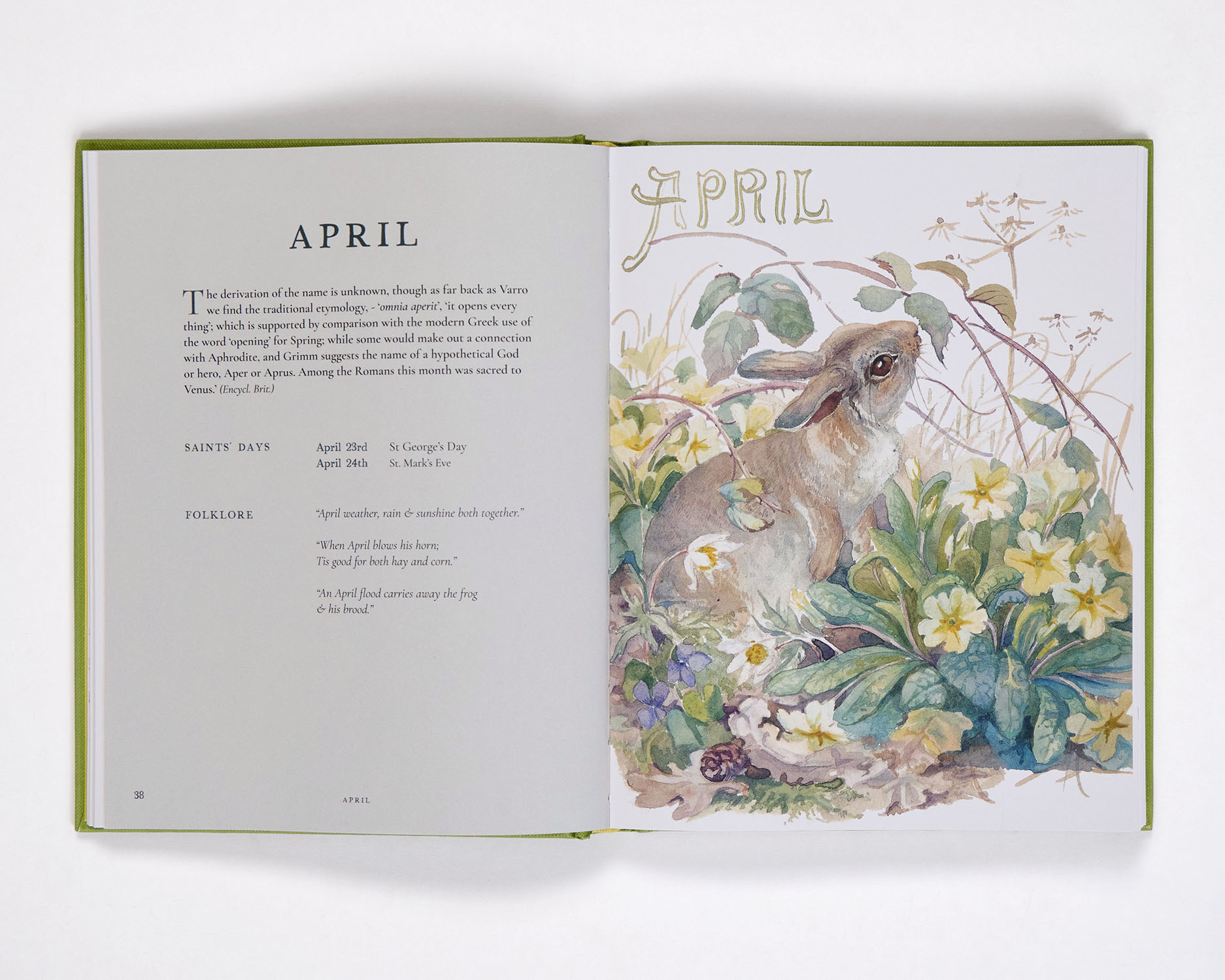 additional book photo
