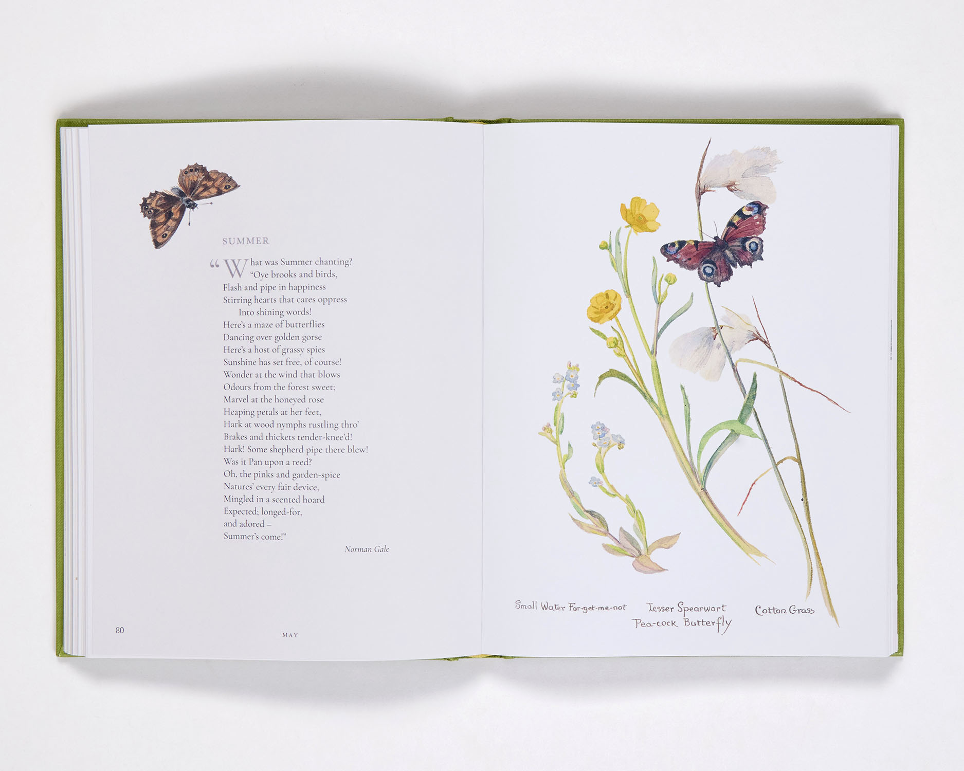 additional book photo
