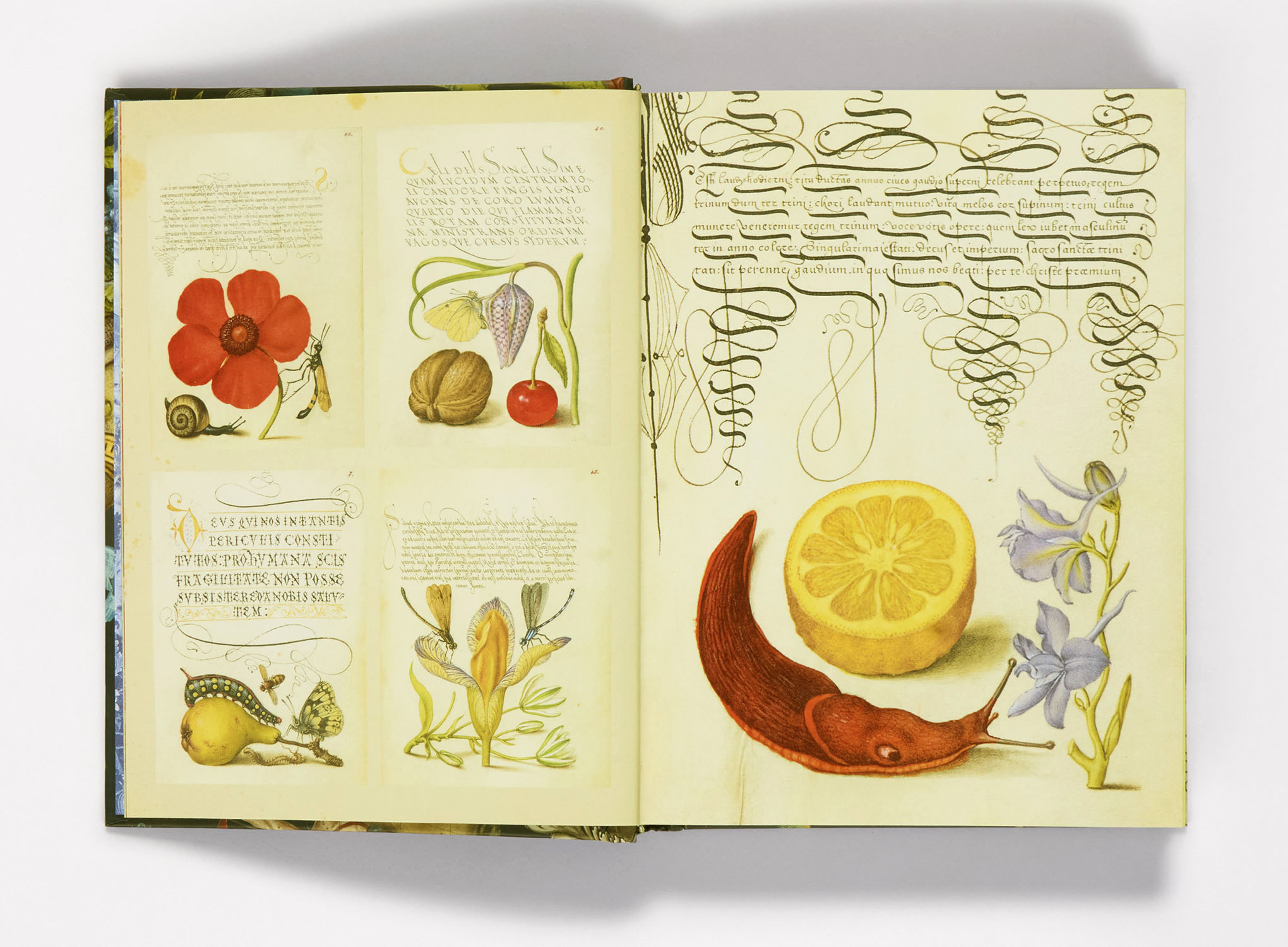 additional book photo