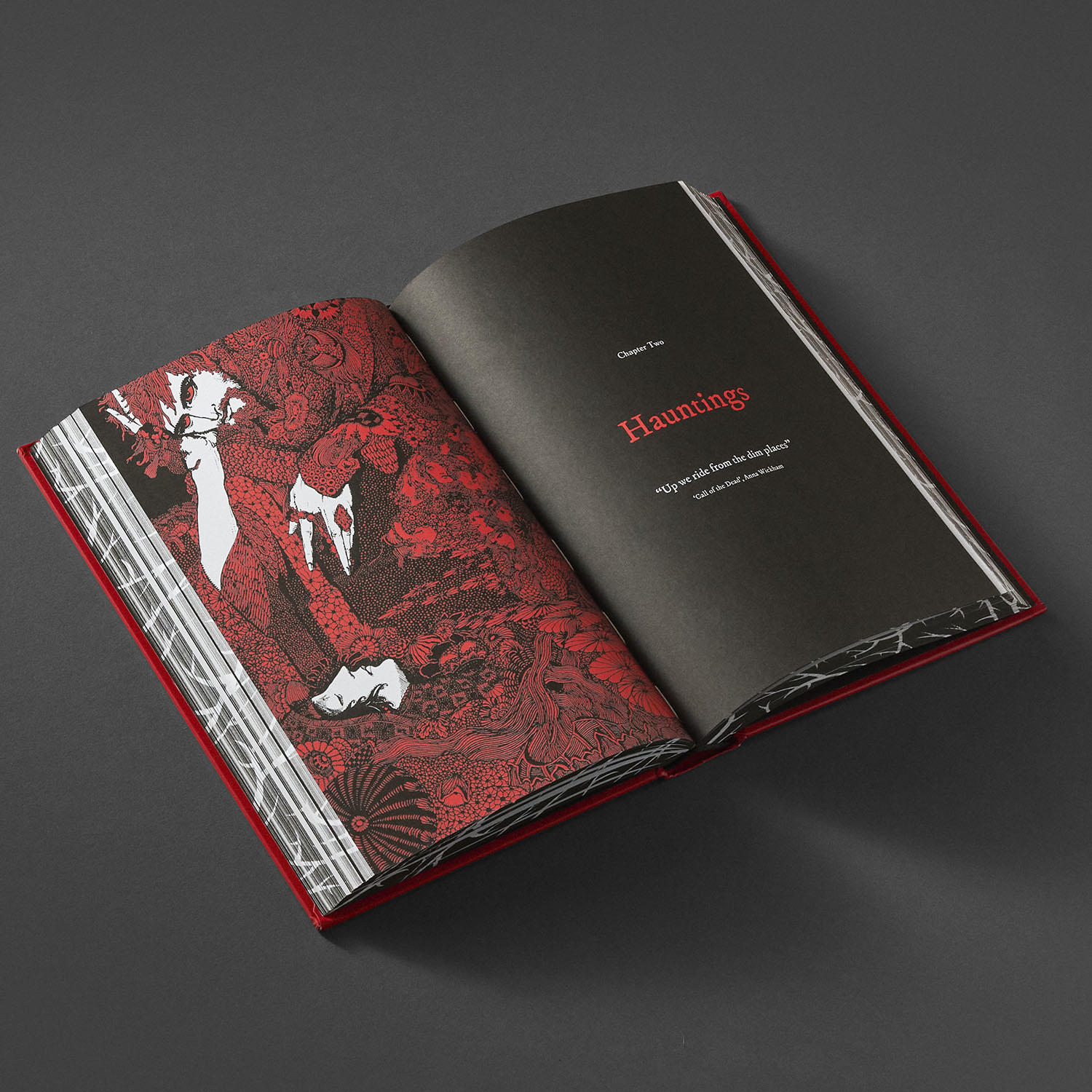 additional book photo