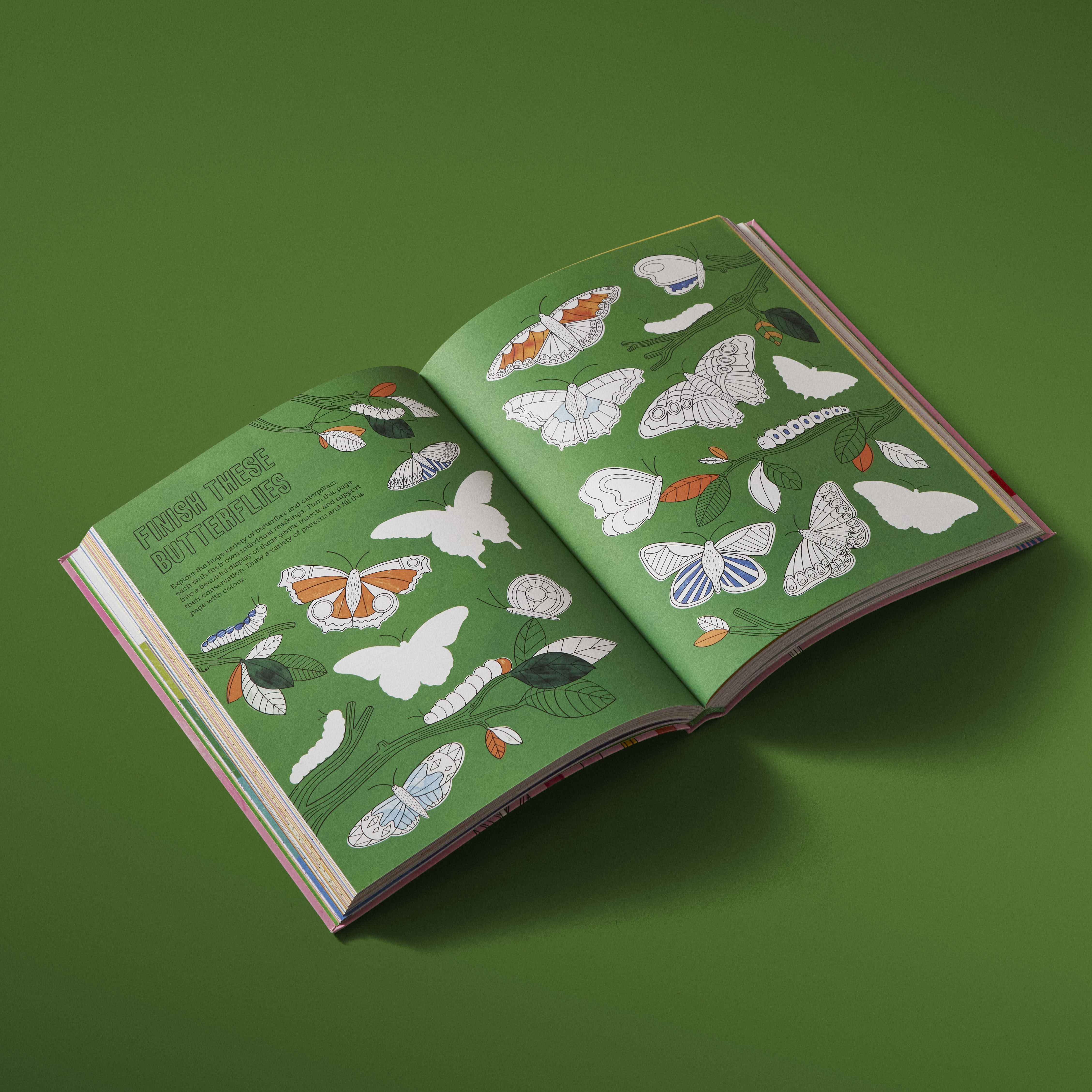 additional book photo