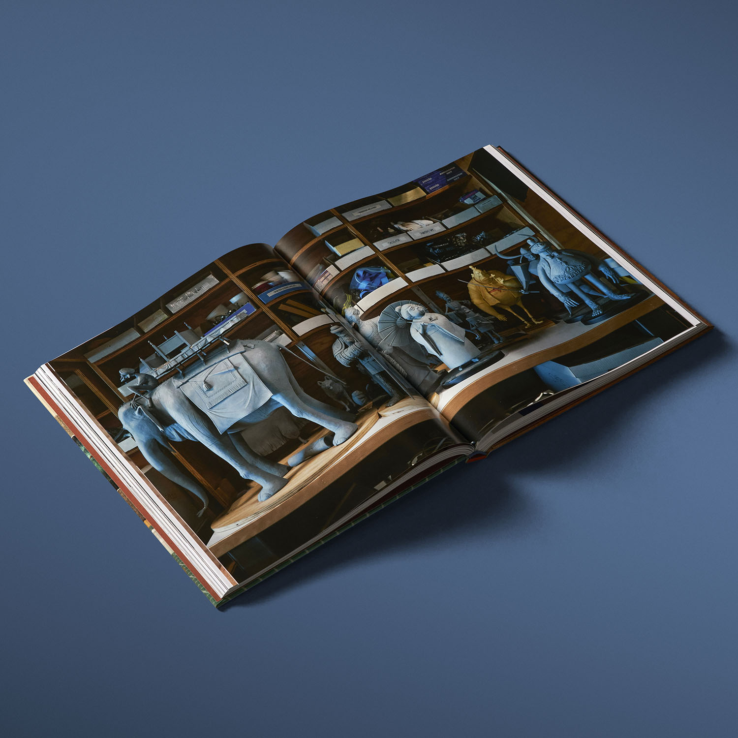 additional book photo