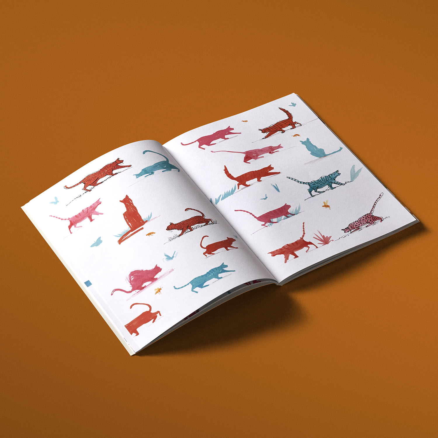 additional book photo
