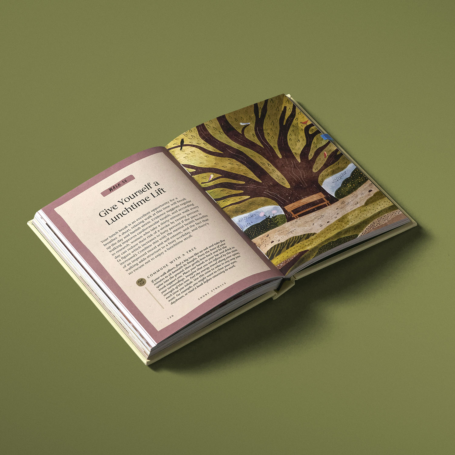 additional book photo