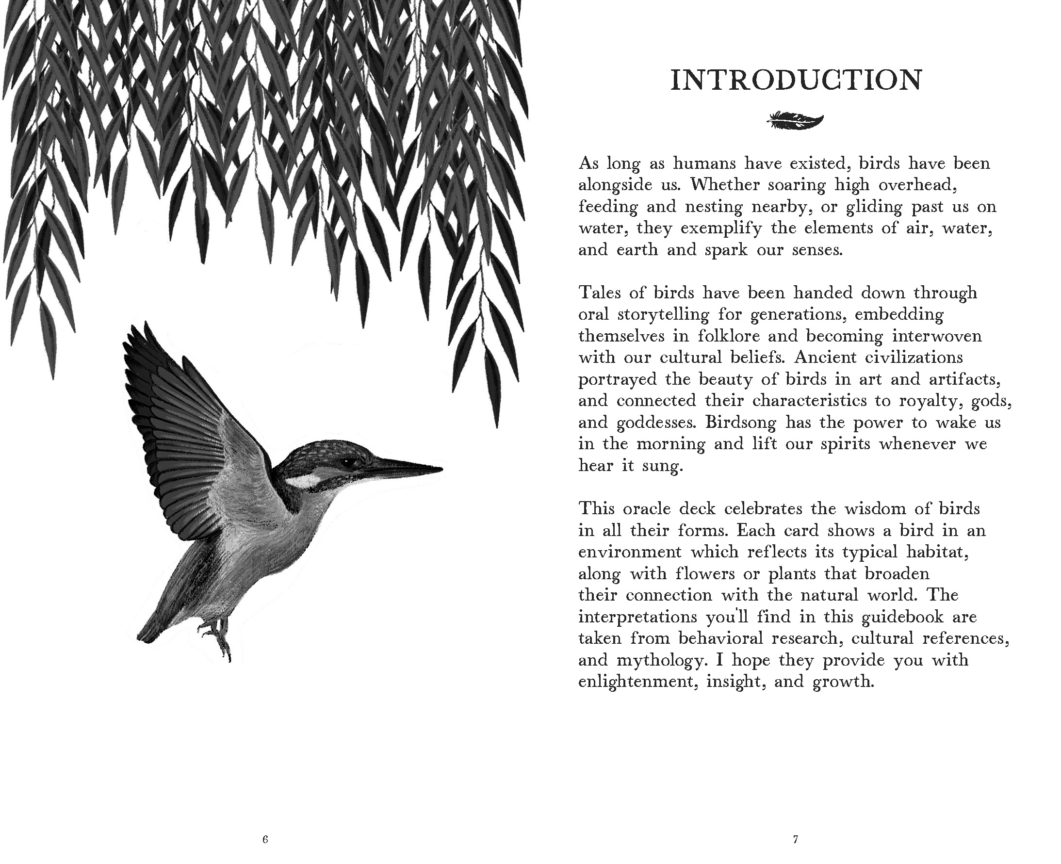 additional book photo