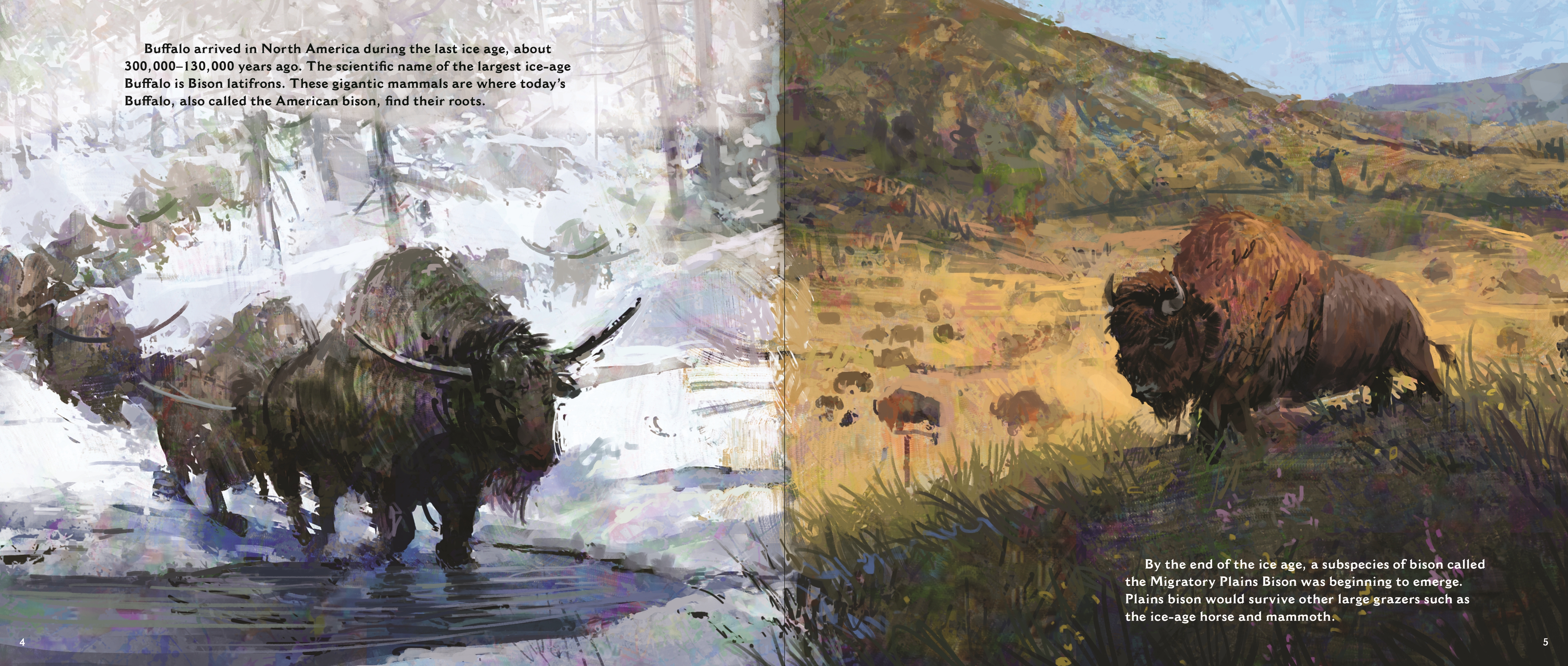 additional book photo