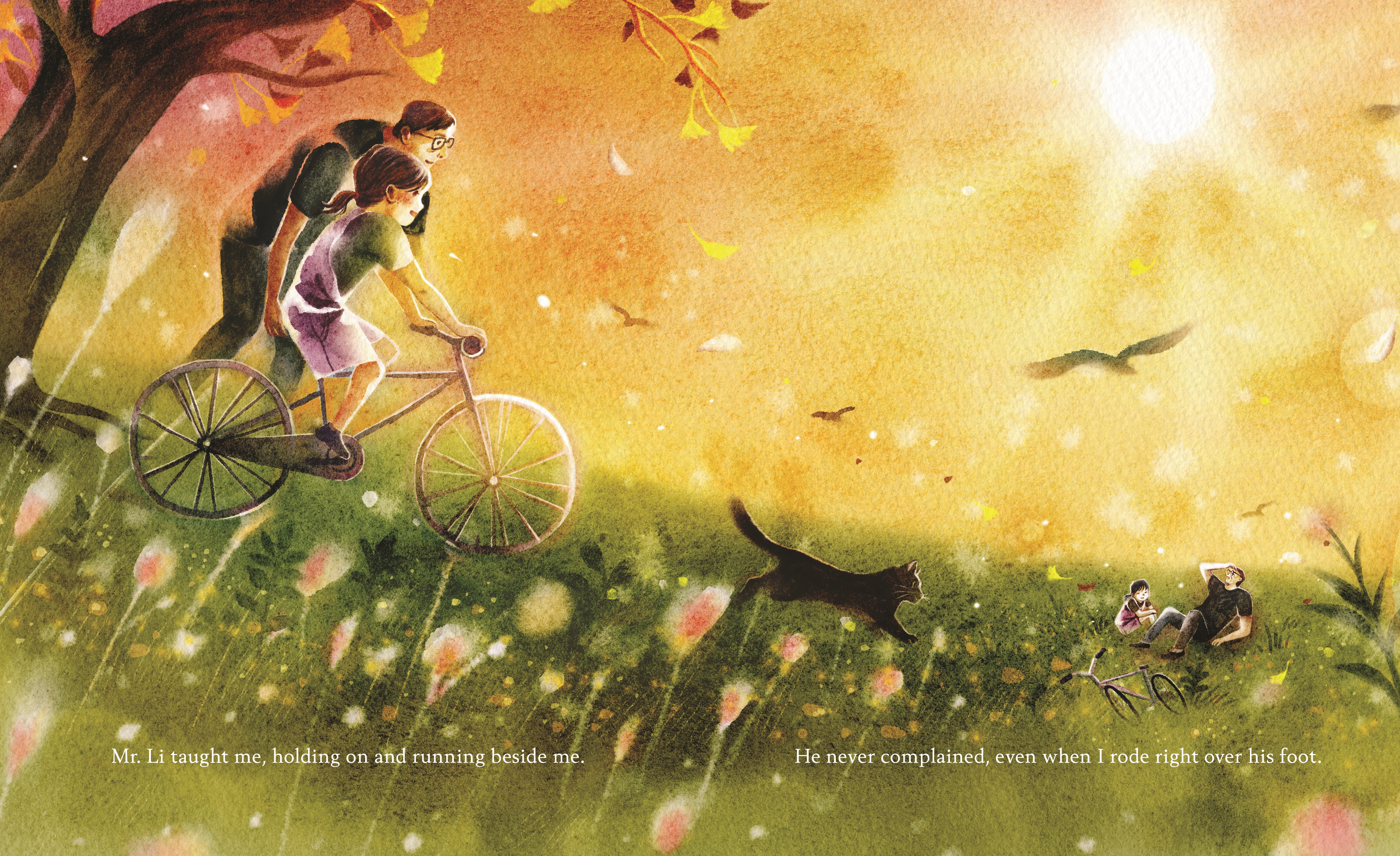 additional book photo