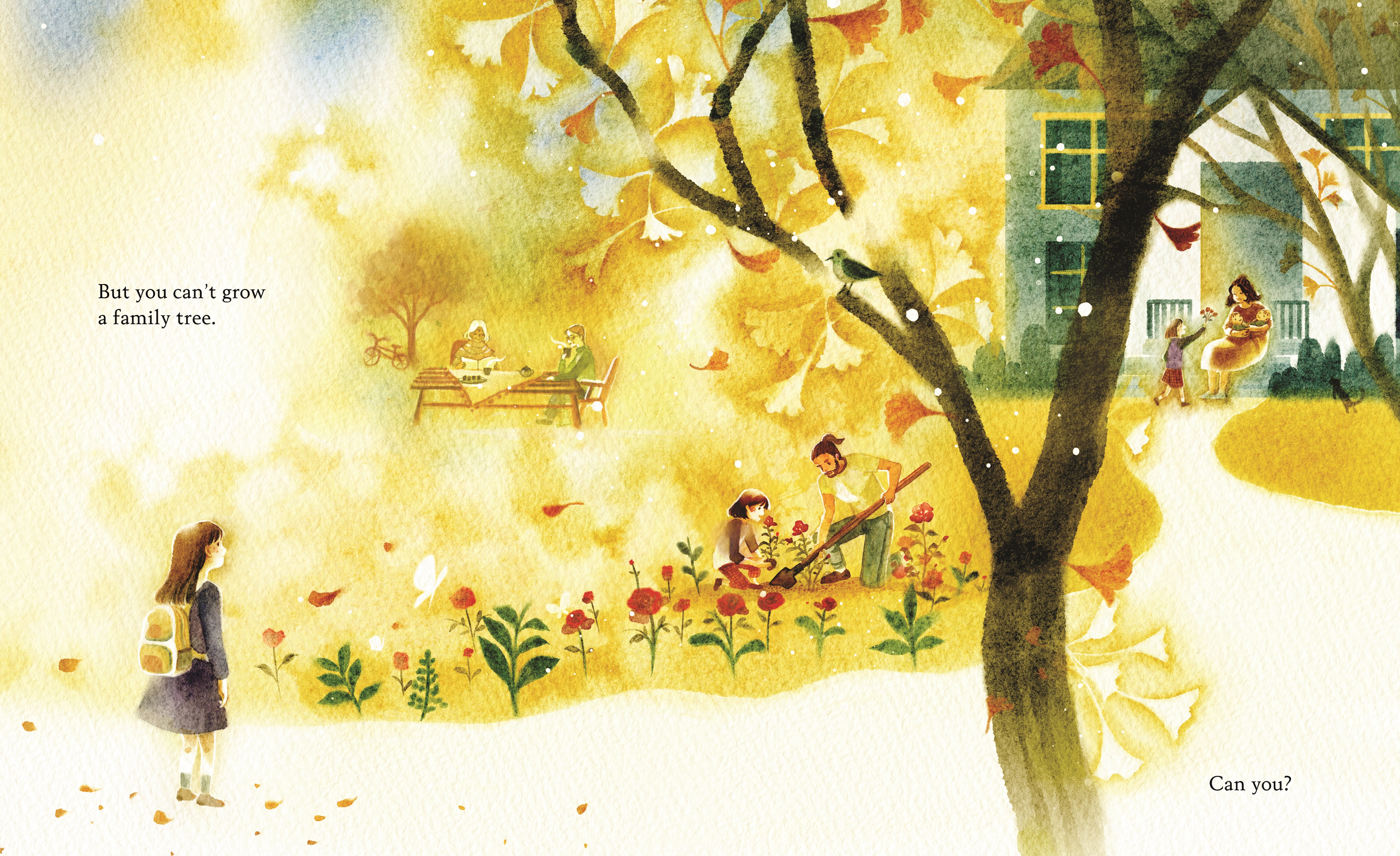 additional book photo