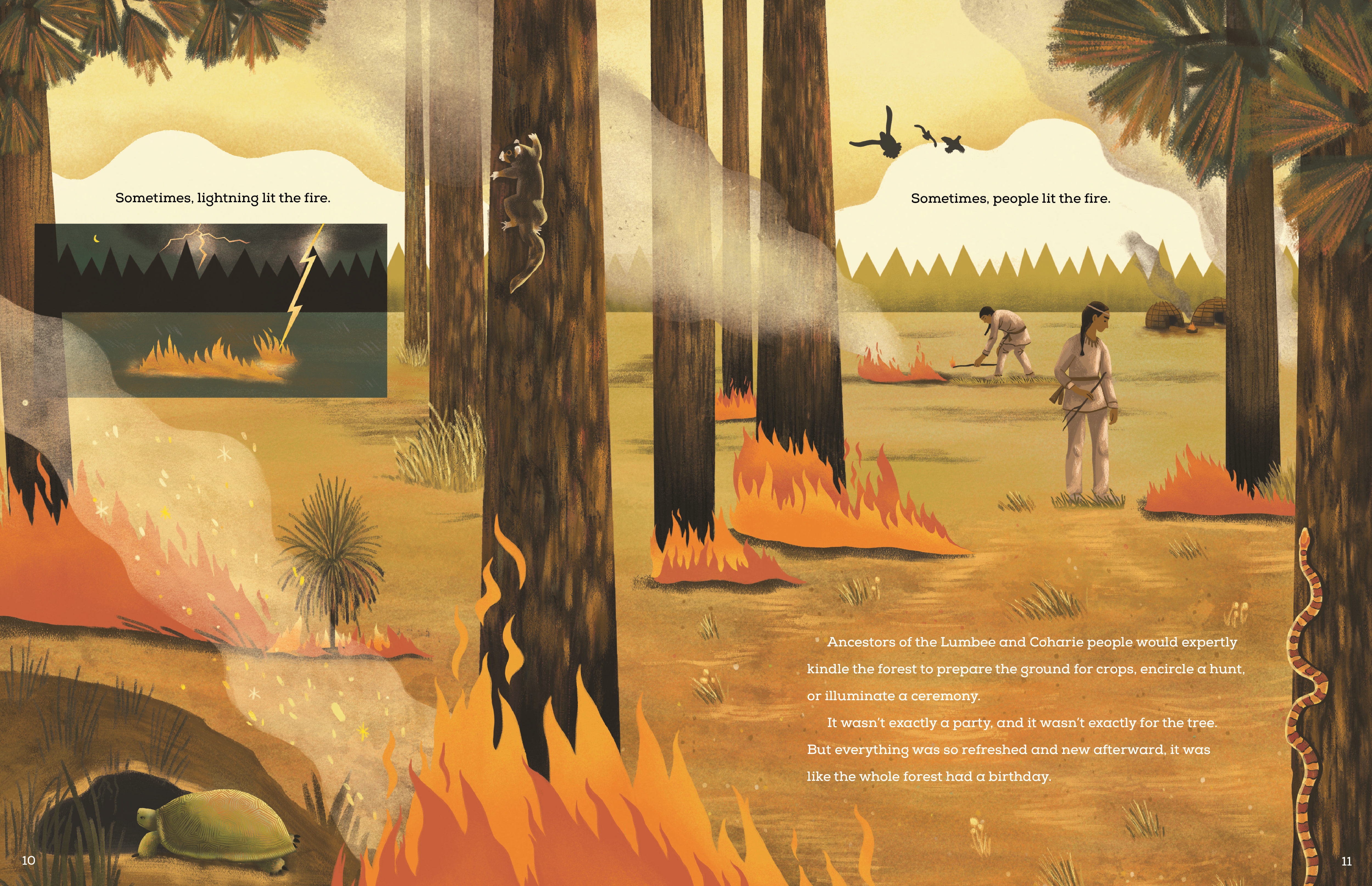 additional book photo