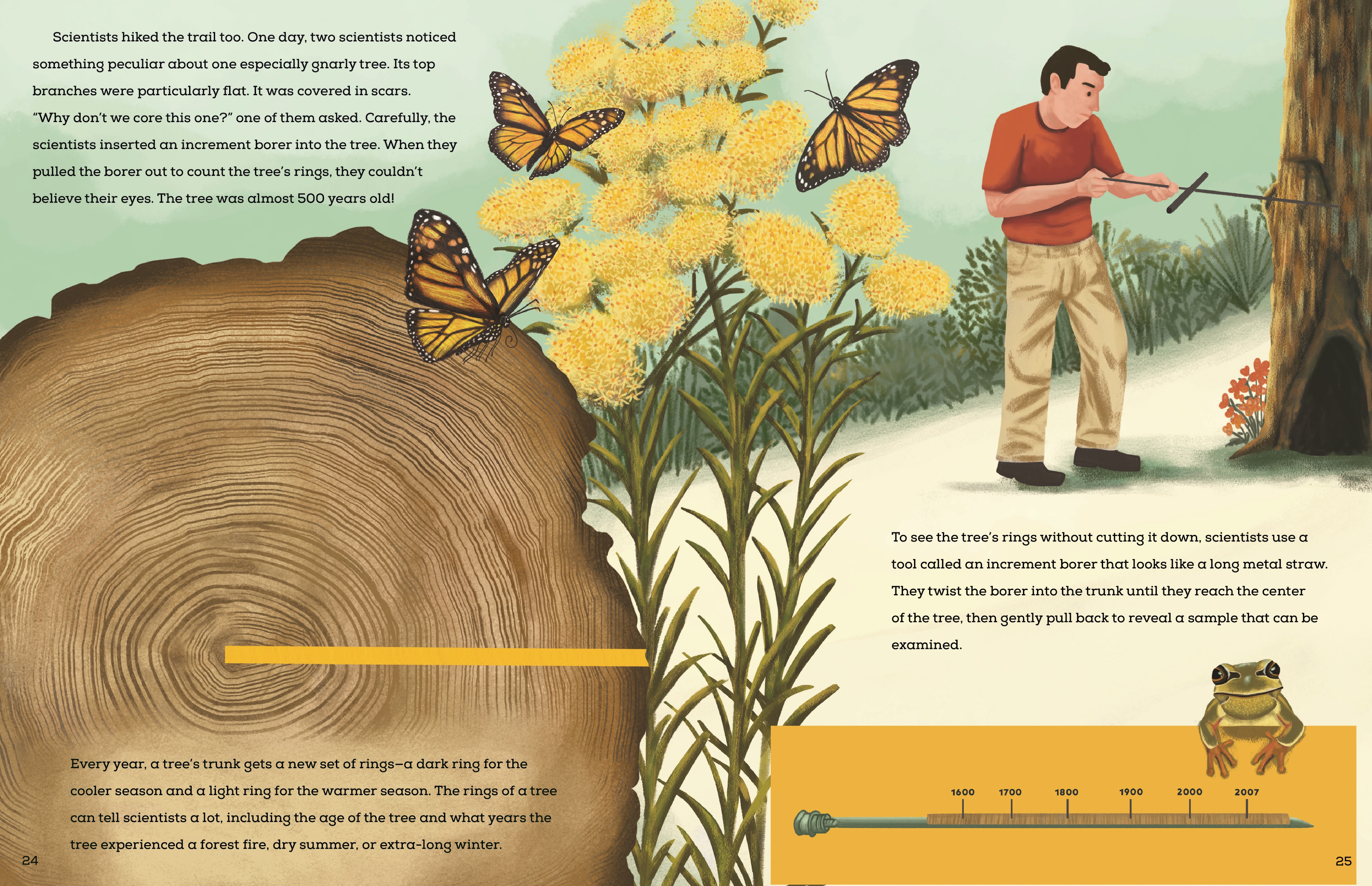 additional book photo