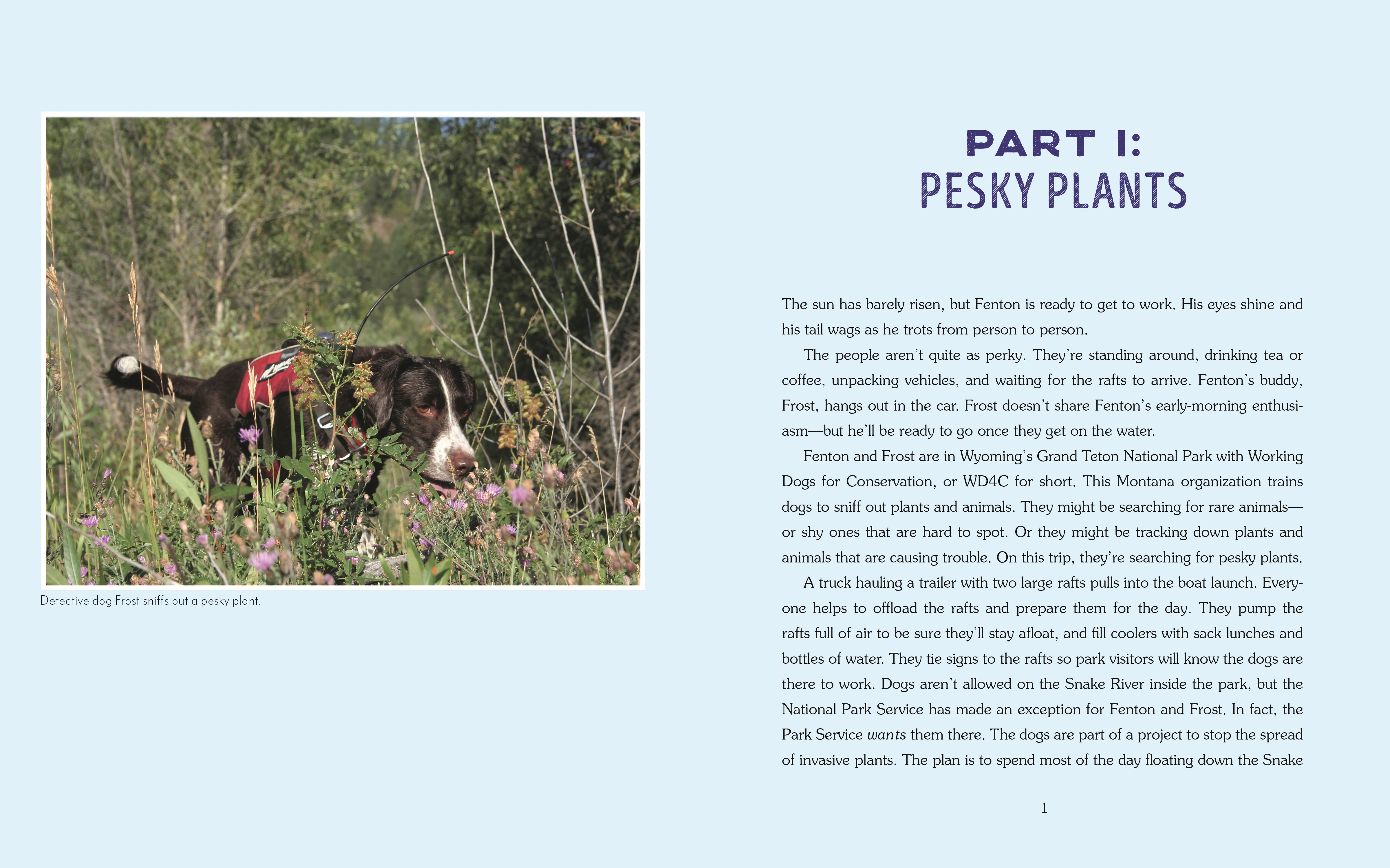 additional book photo