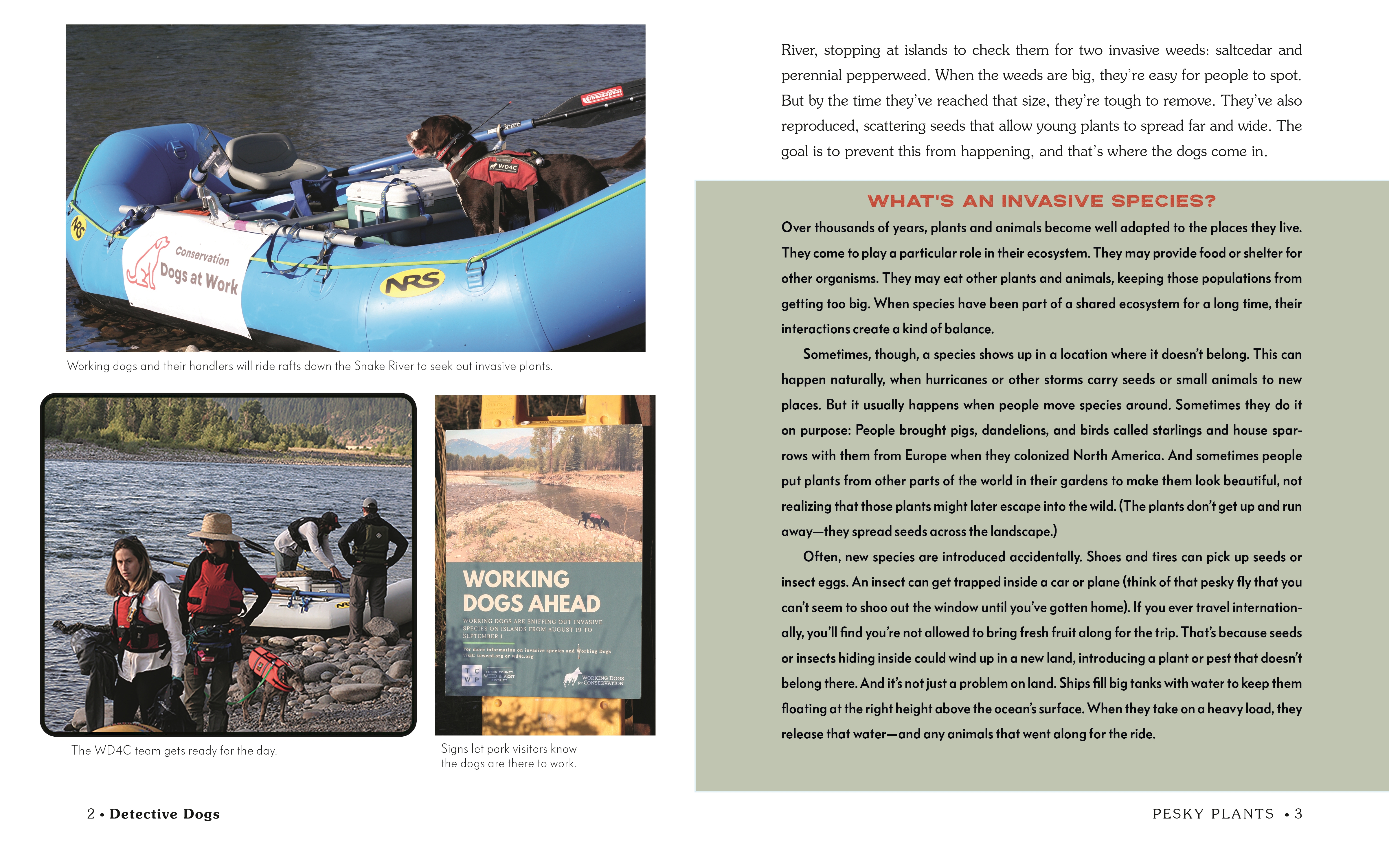additional book photo