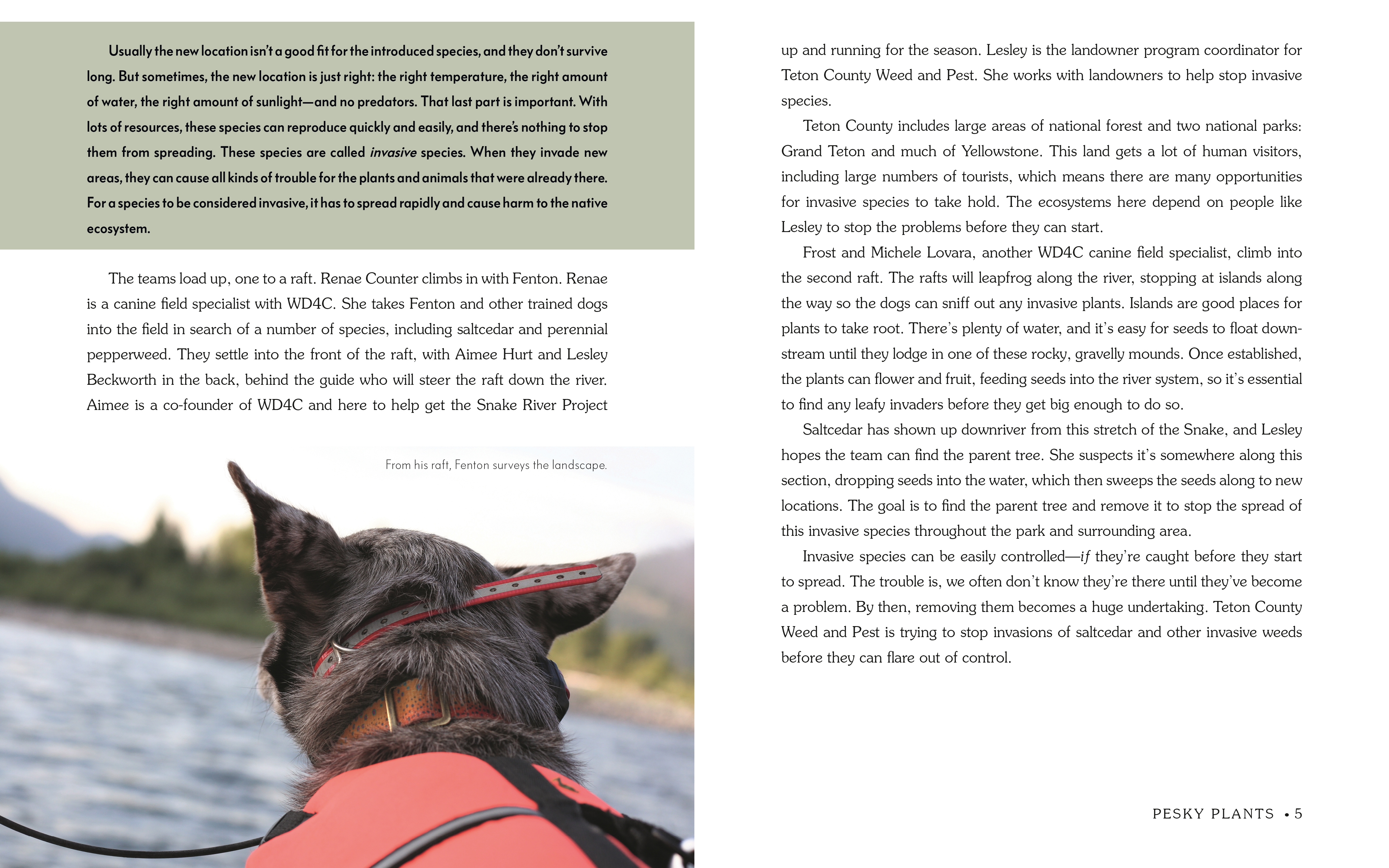 additional book photo