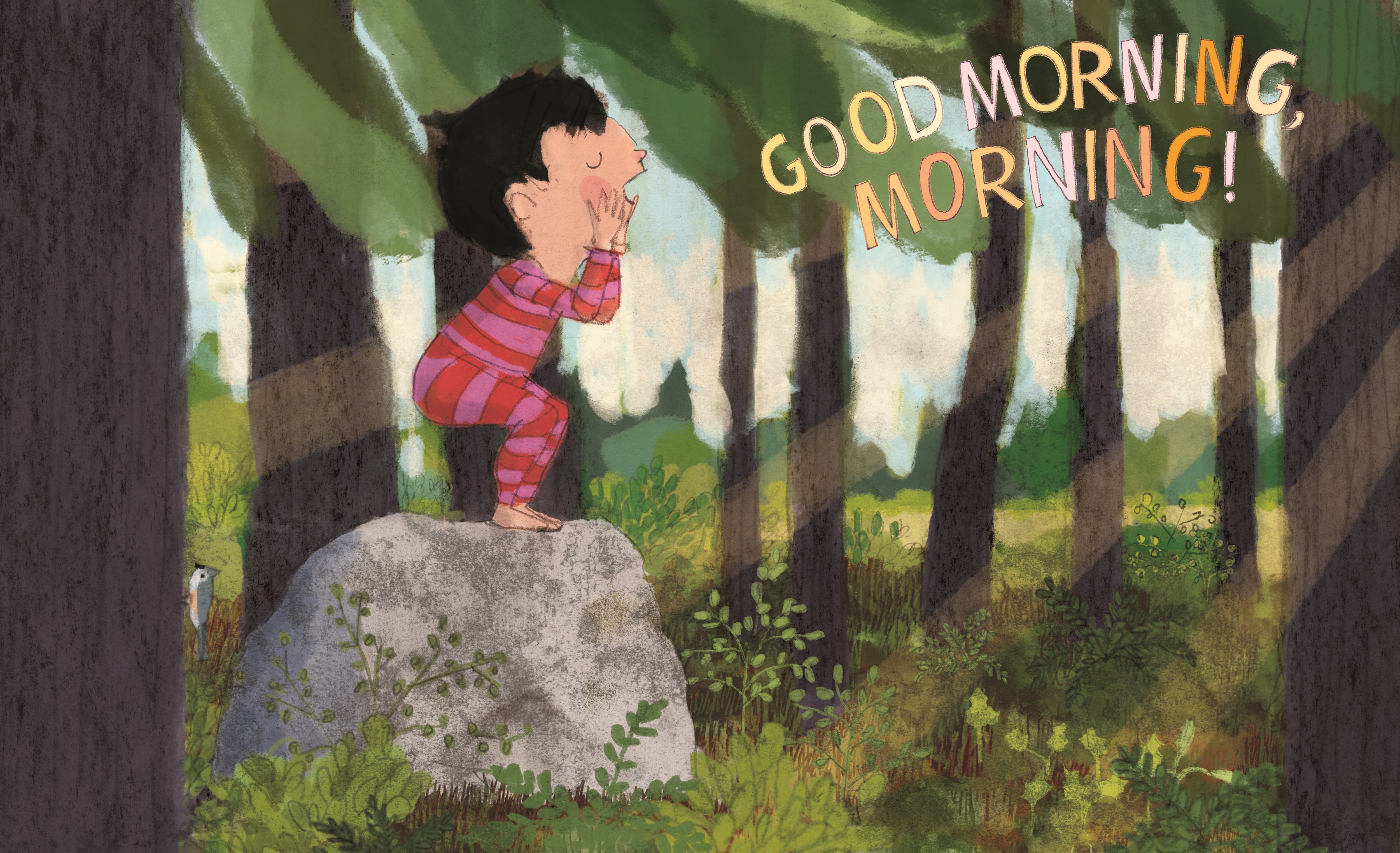 additional book photo