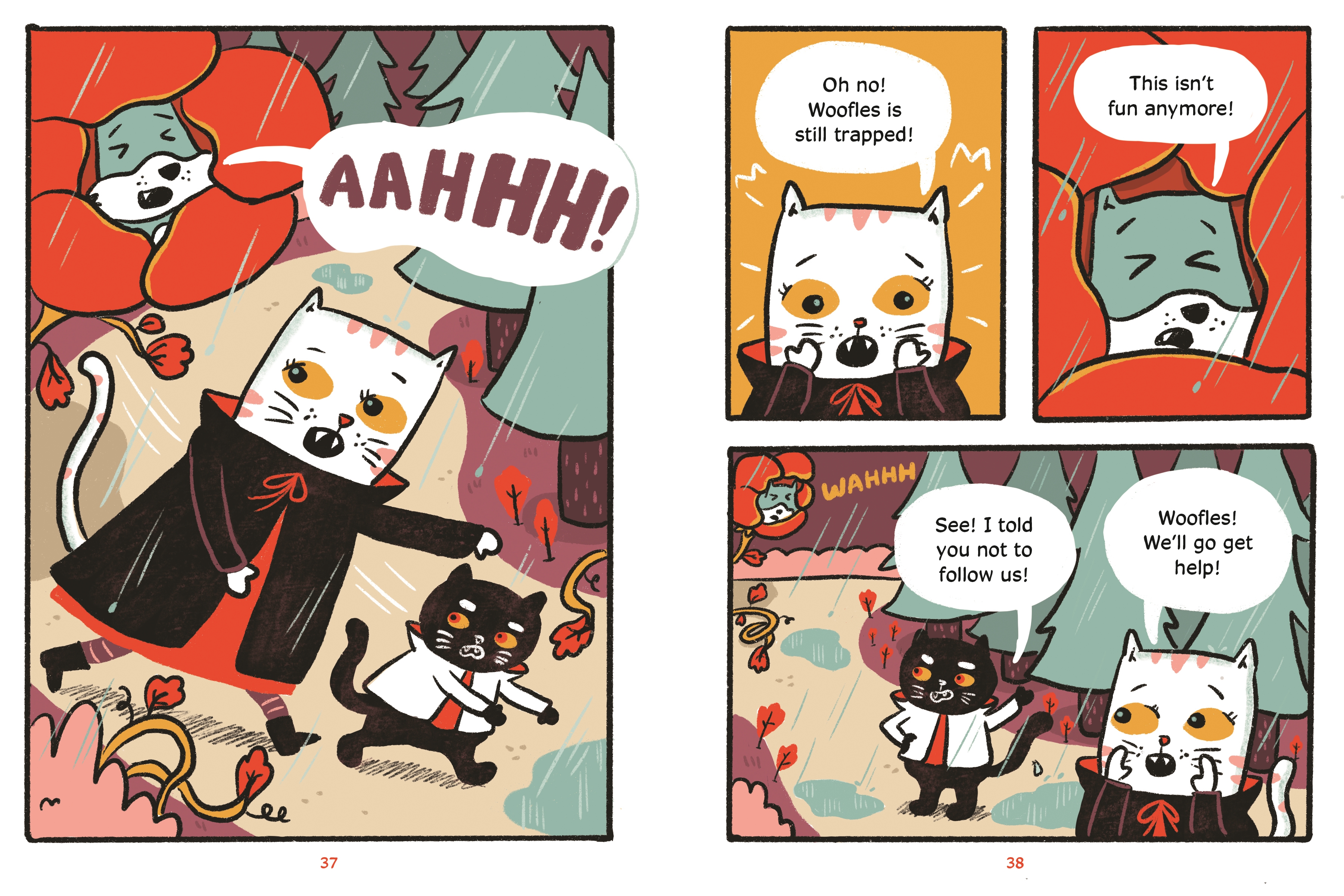 additional book photo