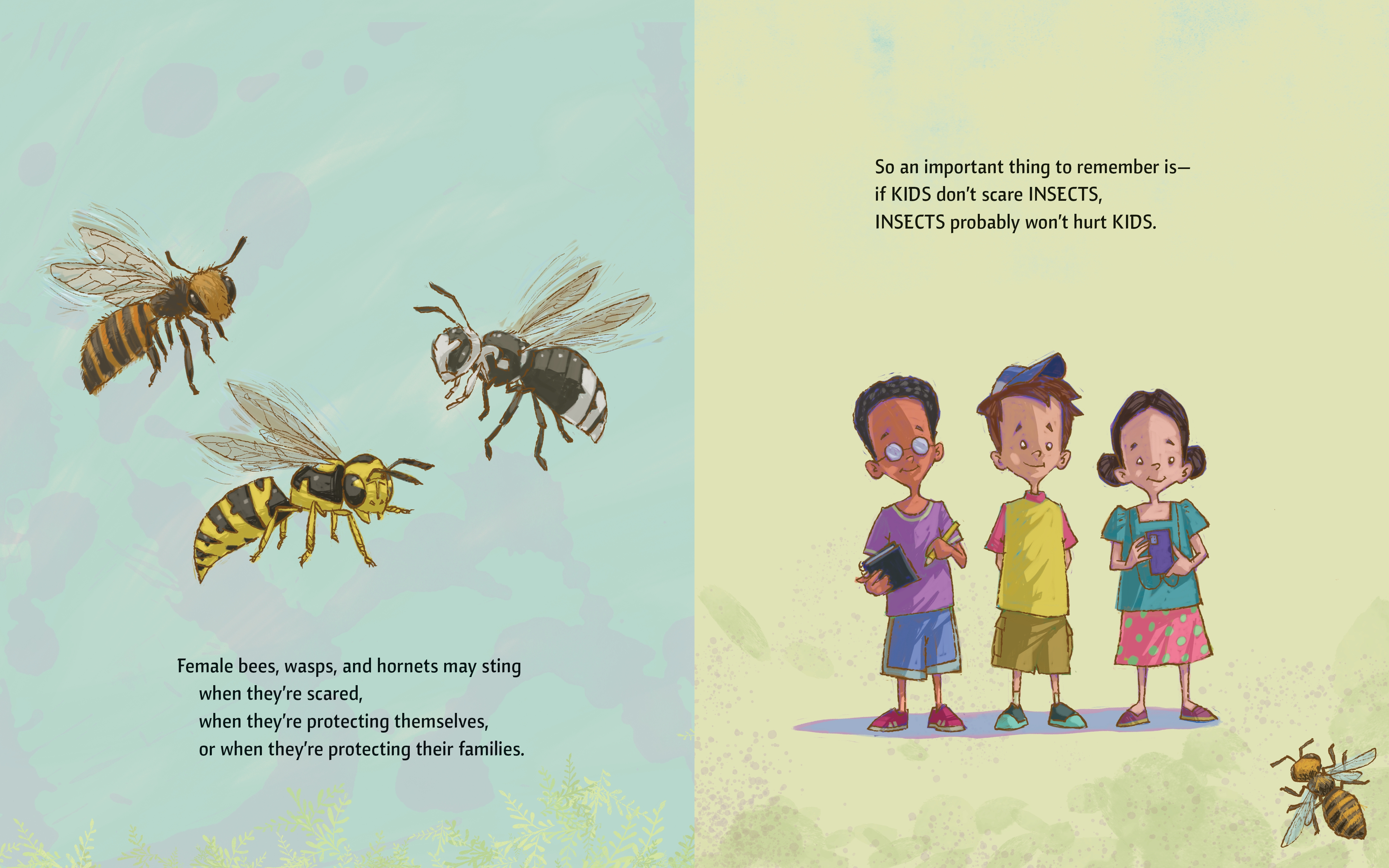 additional book photo