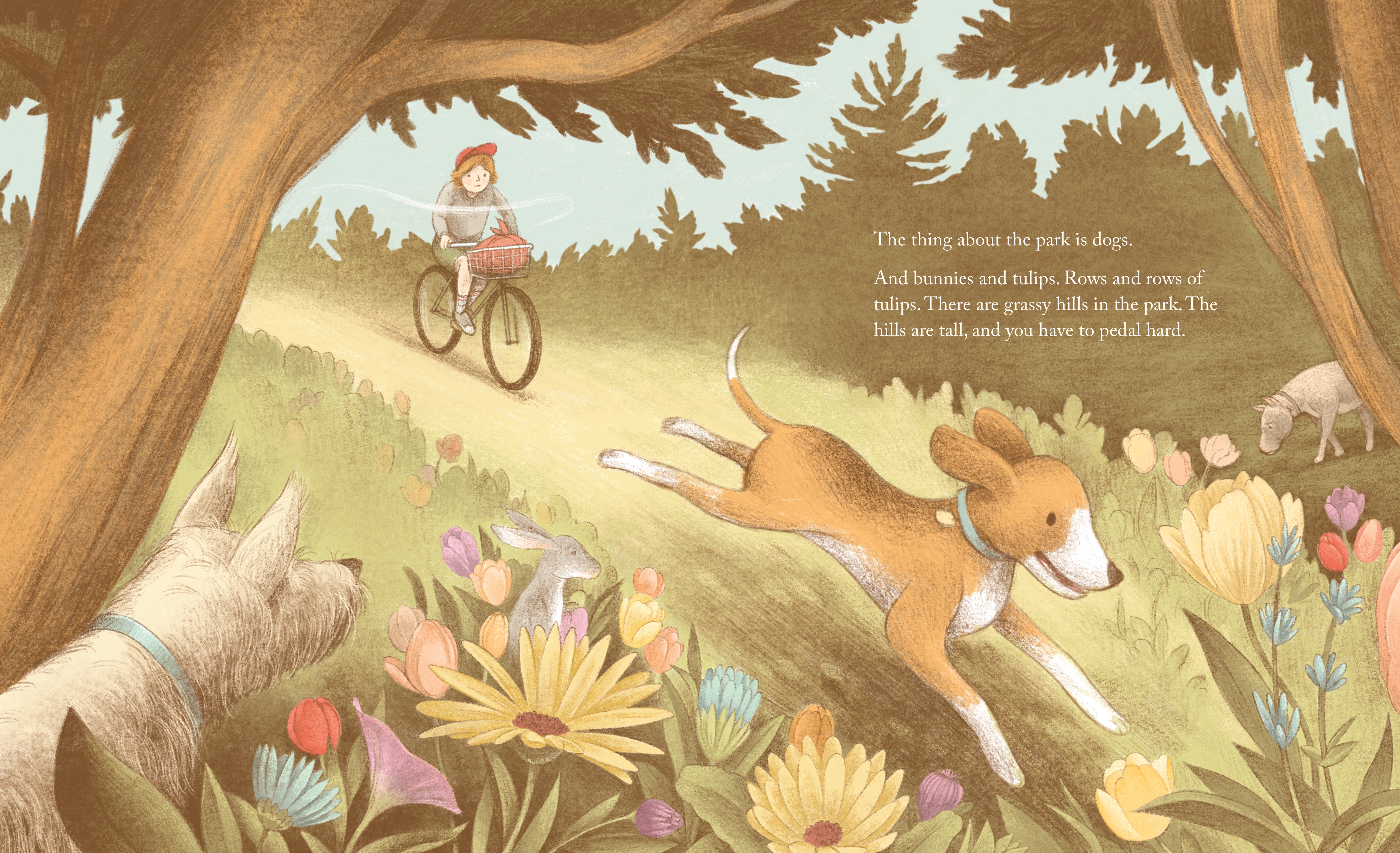 additional book photo