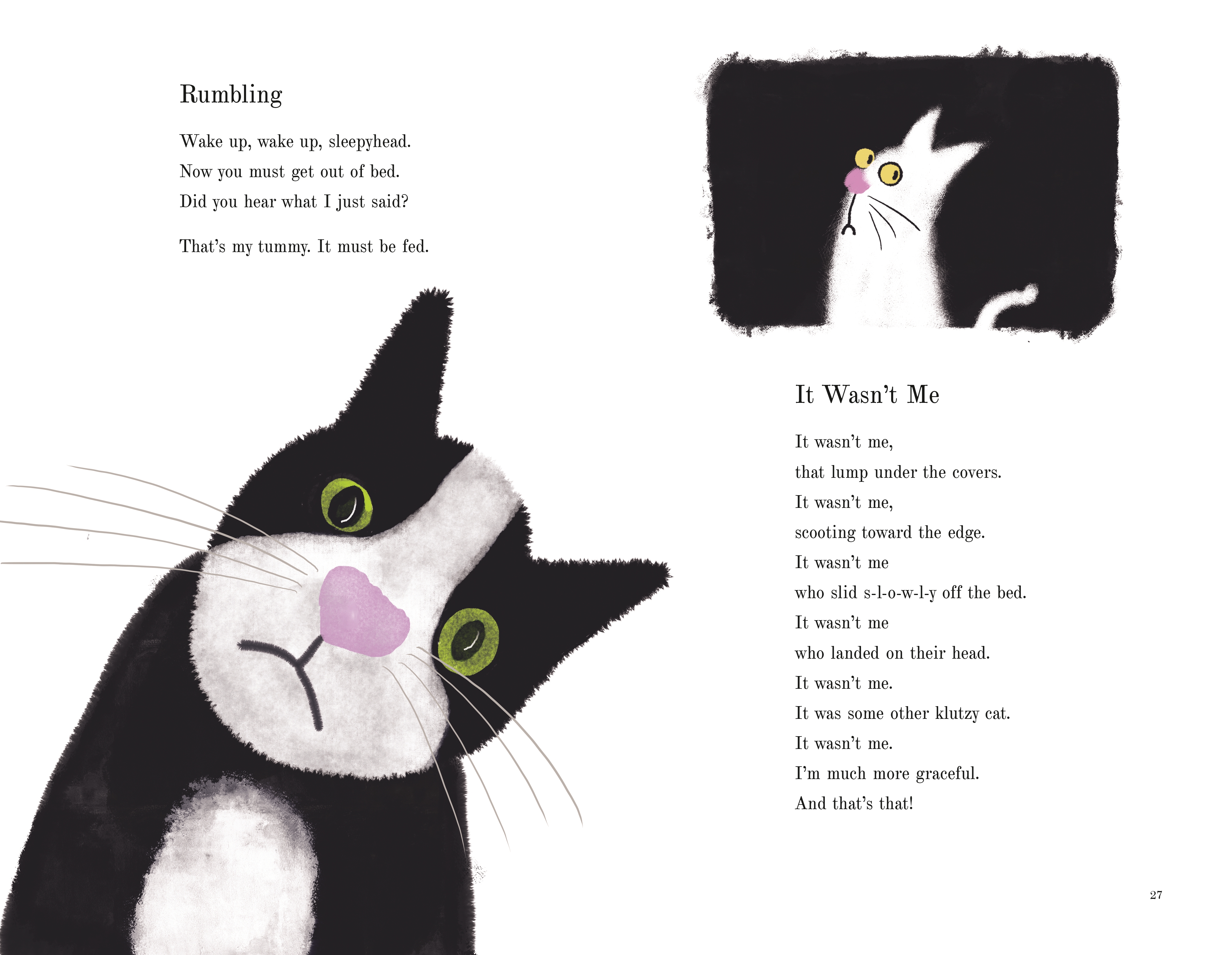 additional book photo