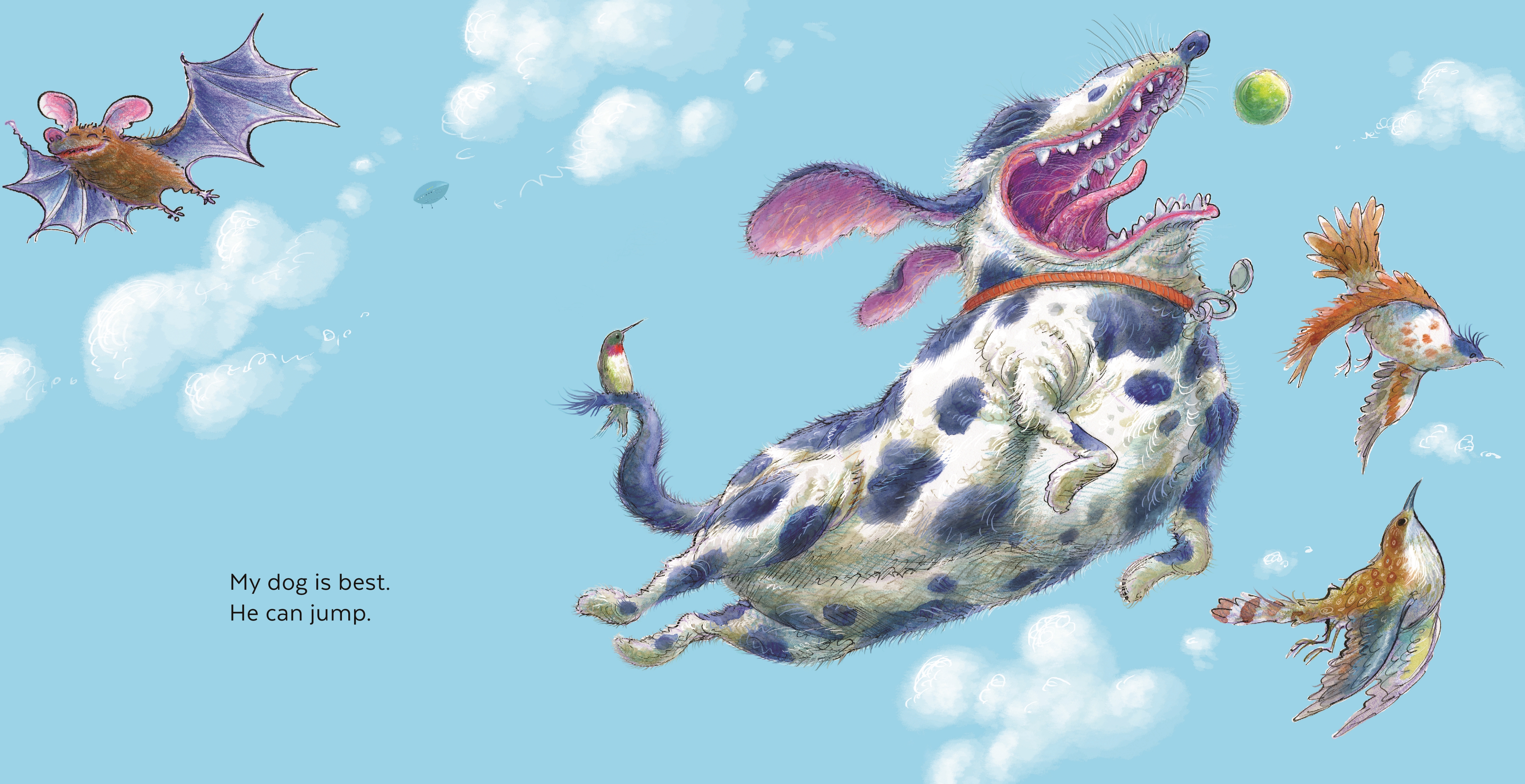 additional book photo