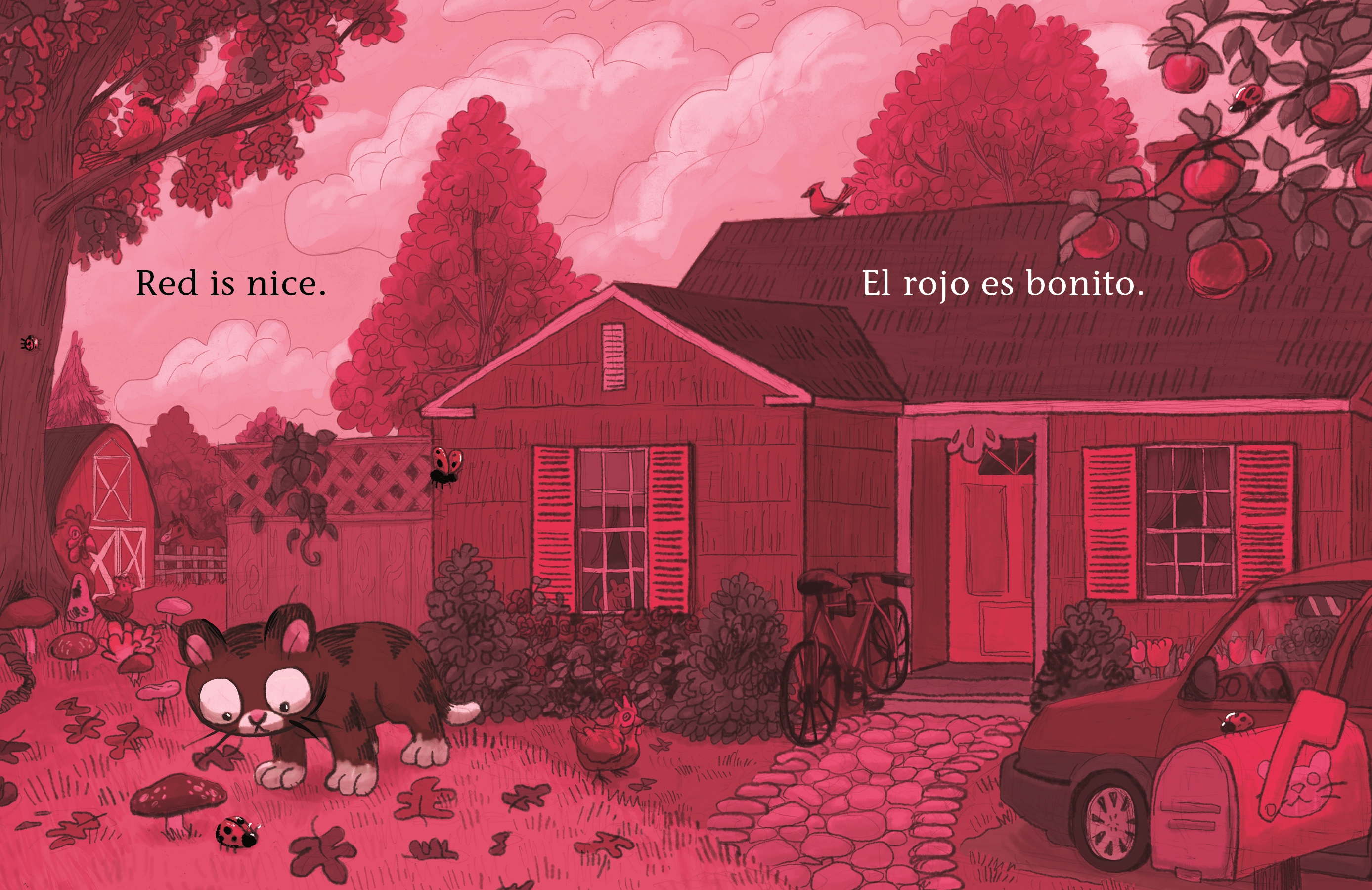 additional book photo
